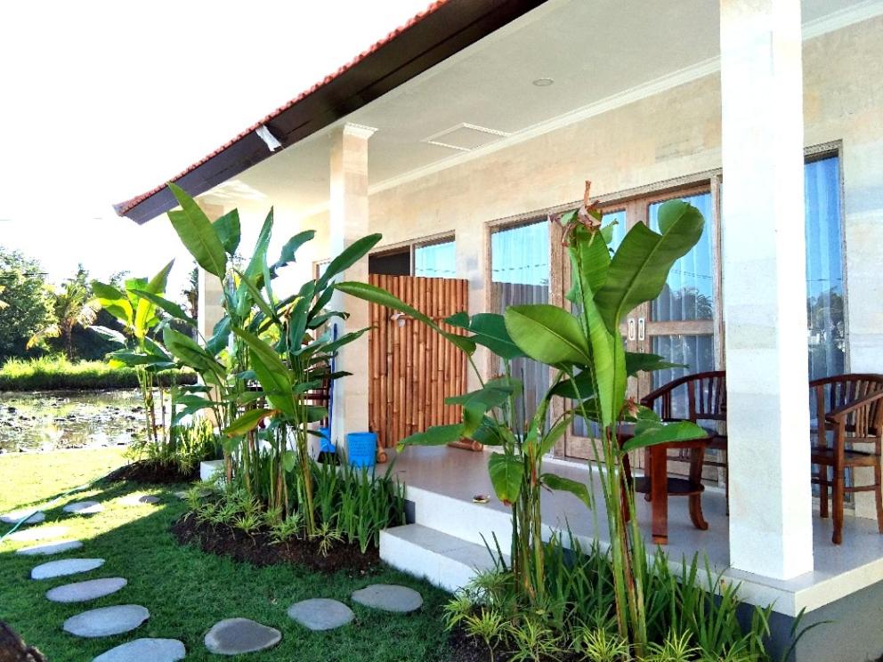 Padi guest house view 5