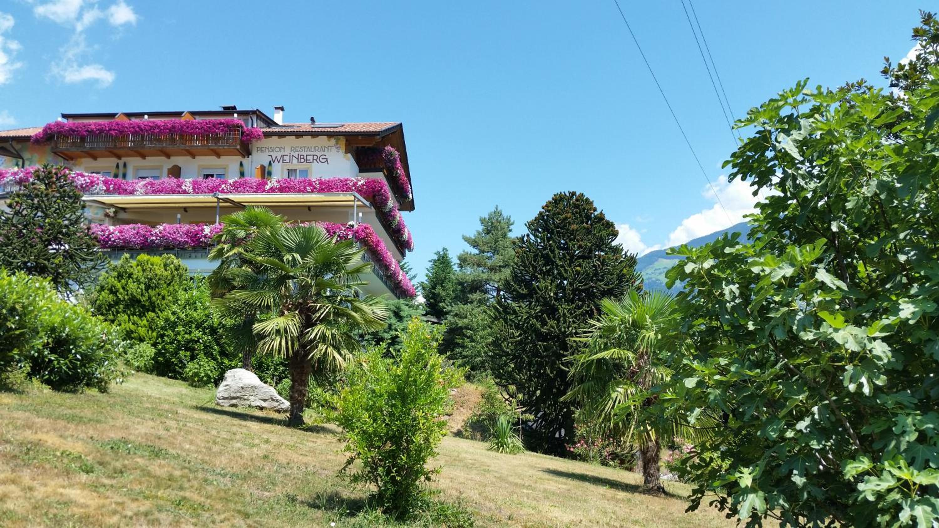 Pension Weinberg view 3