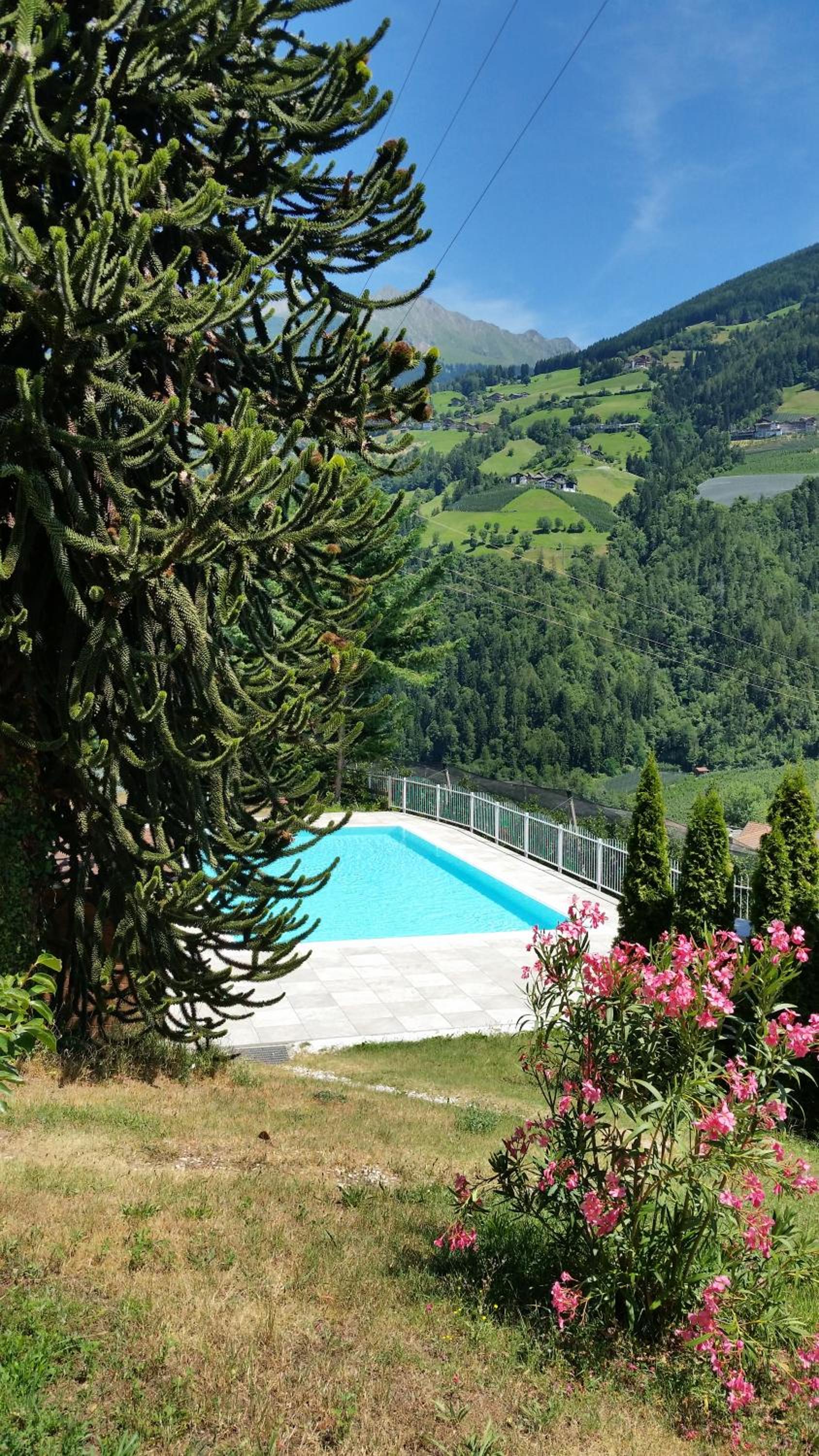 Pension Weinberg view 5