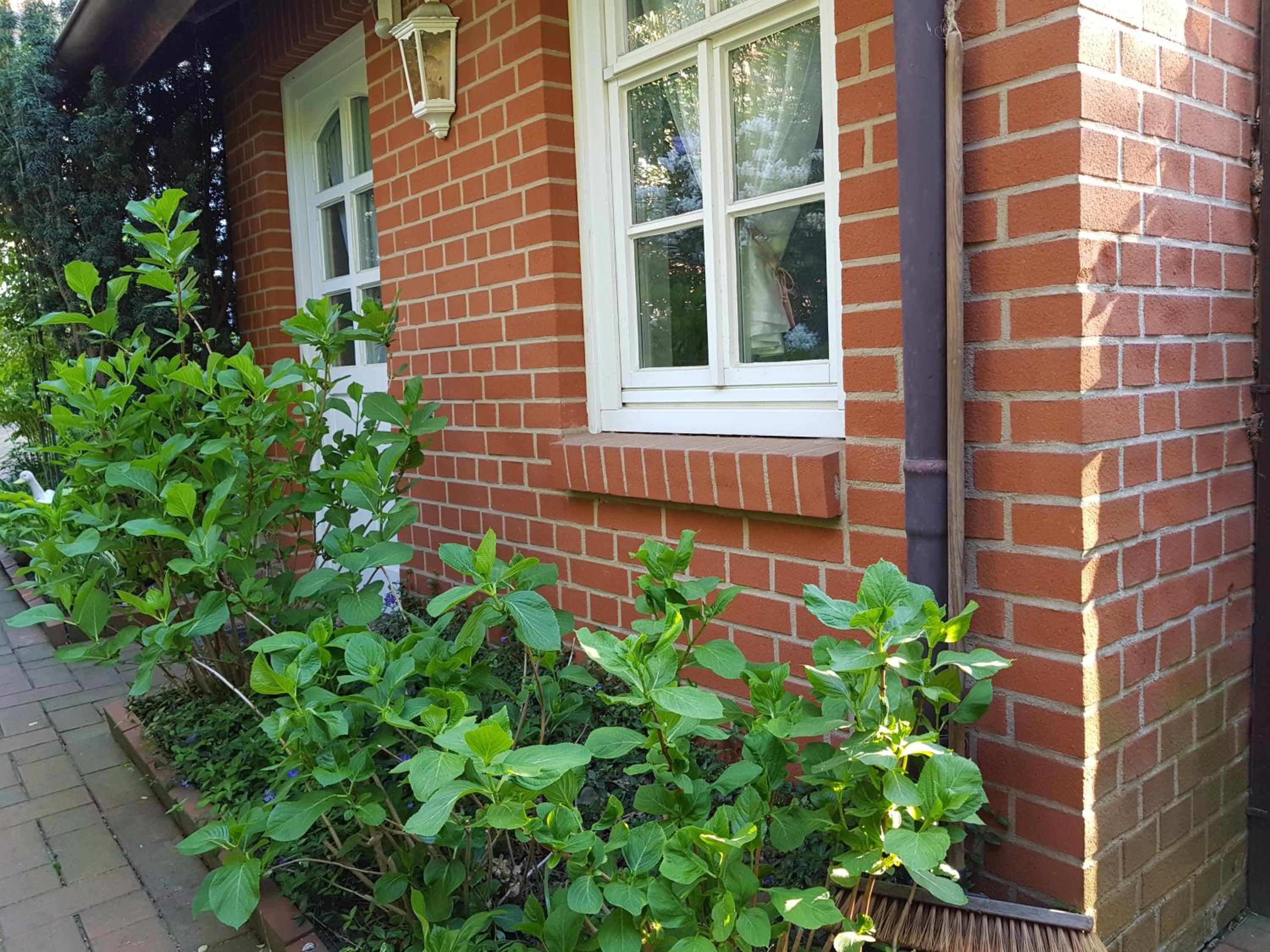 Gästewohnung Wasserzucht view 5