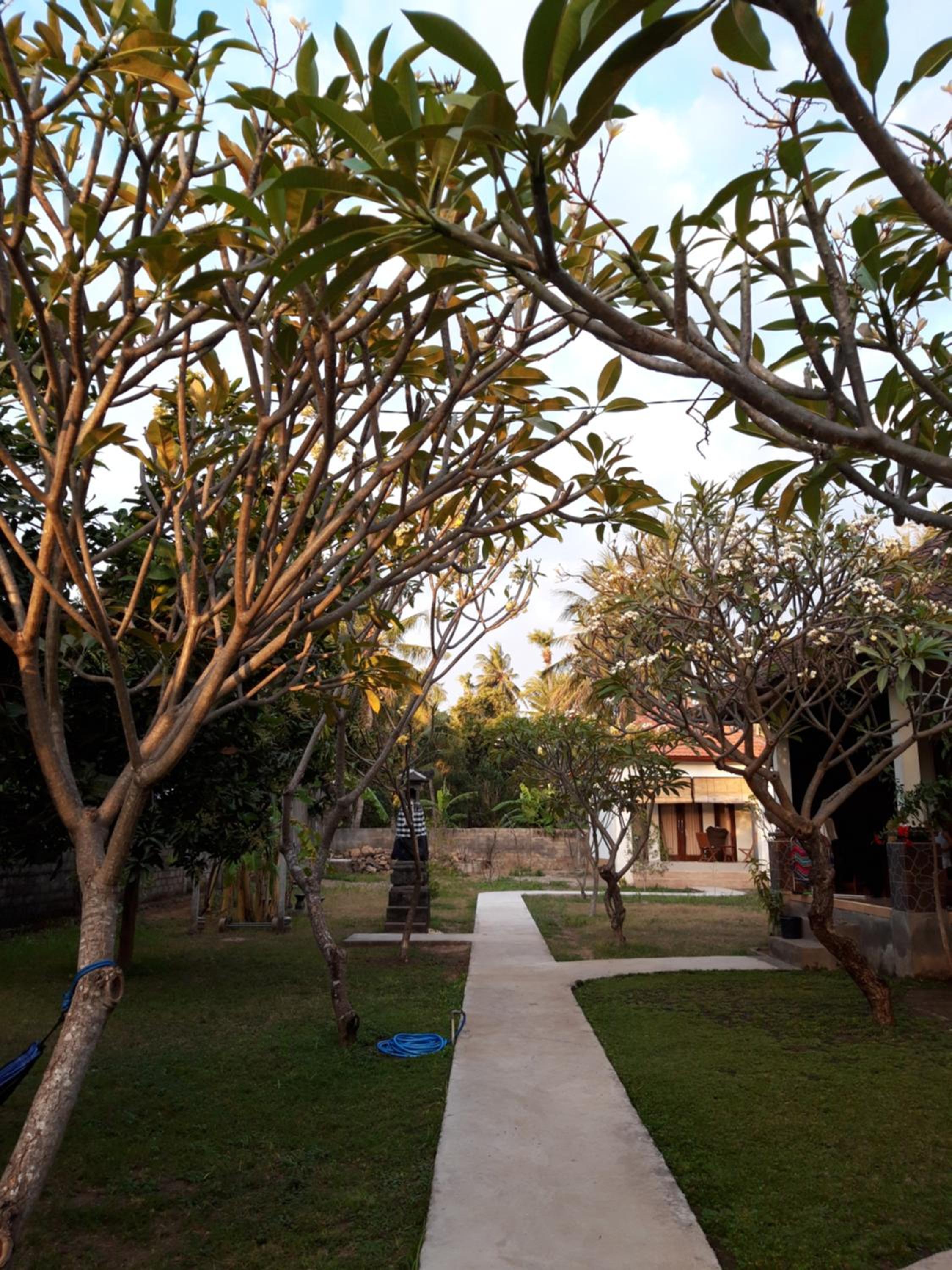 Bumbung Bungalows view 3