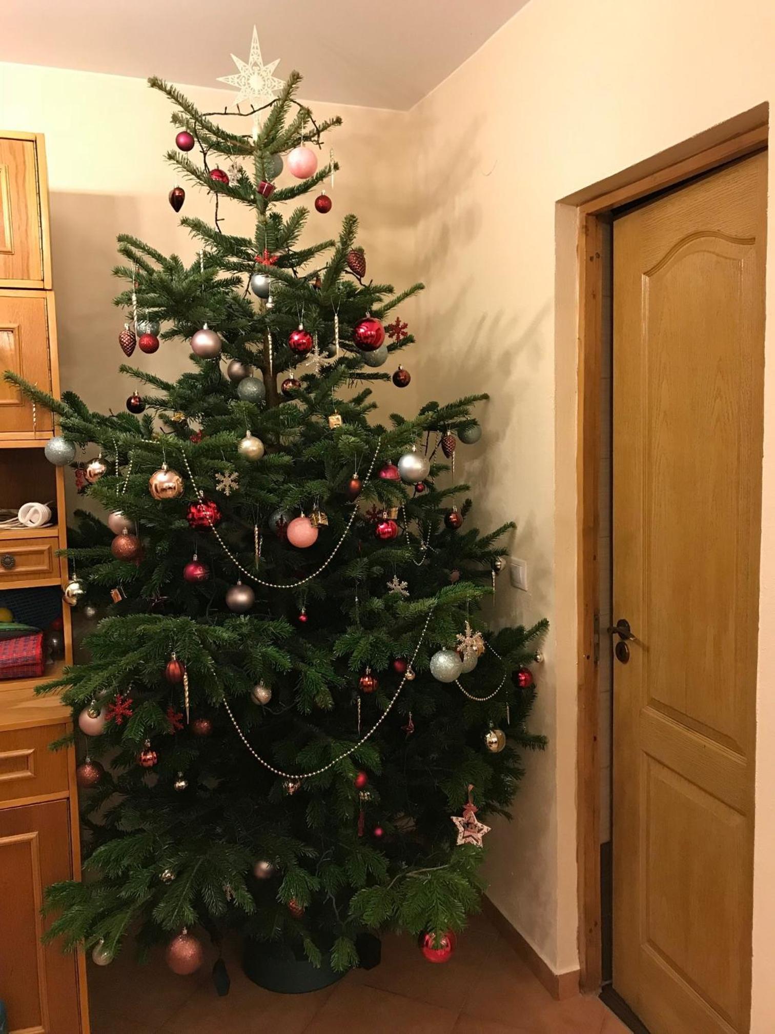 Photo 35