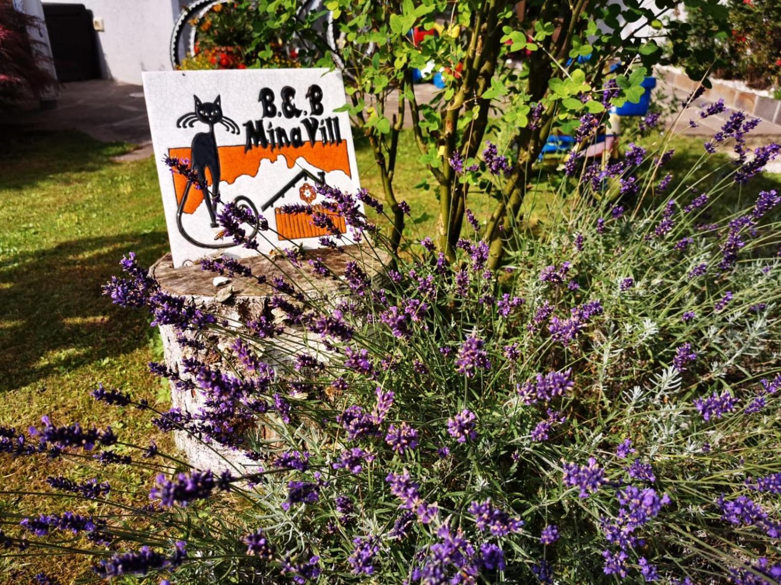 MinaVill La Casa Sulle Dolomiti