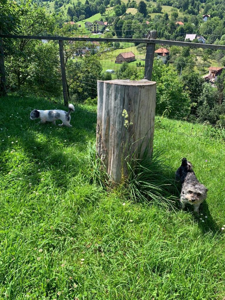 Photo 35