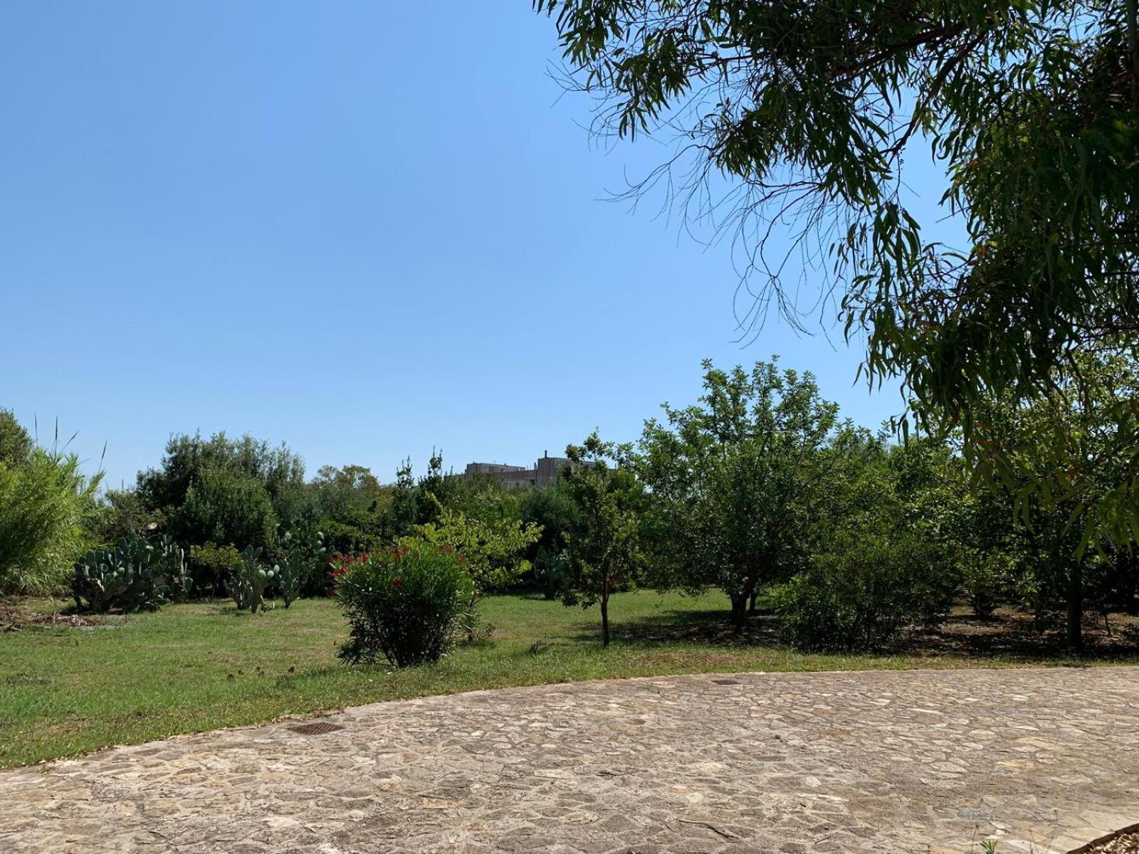 Photo 29
