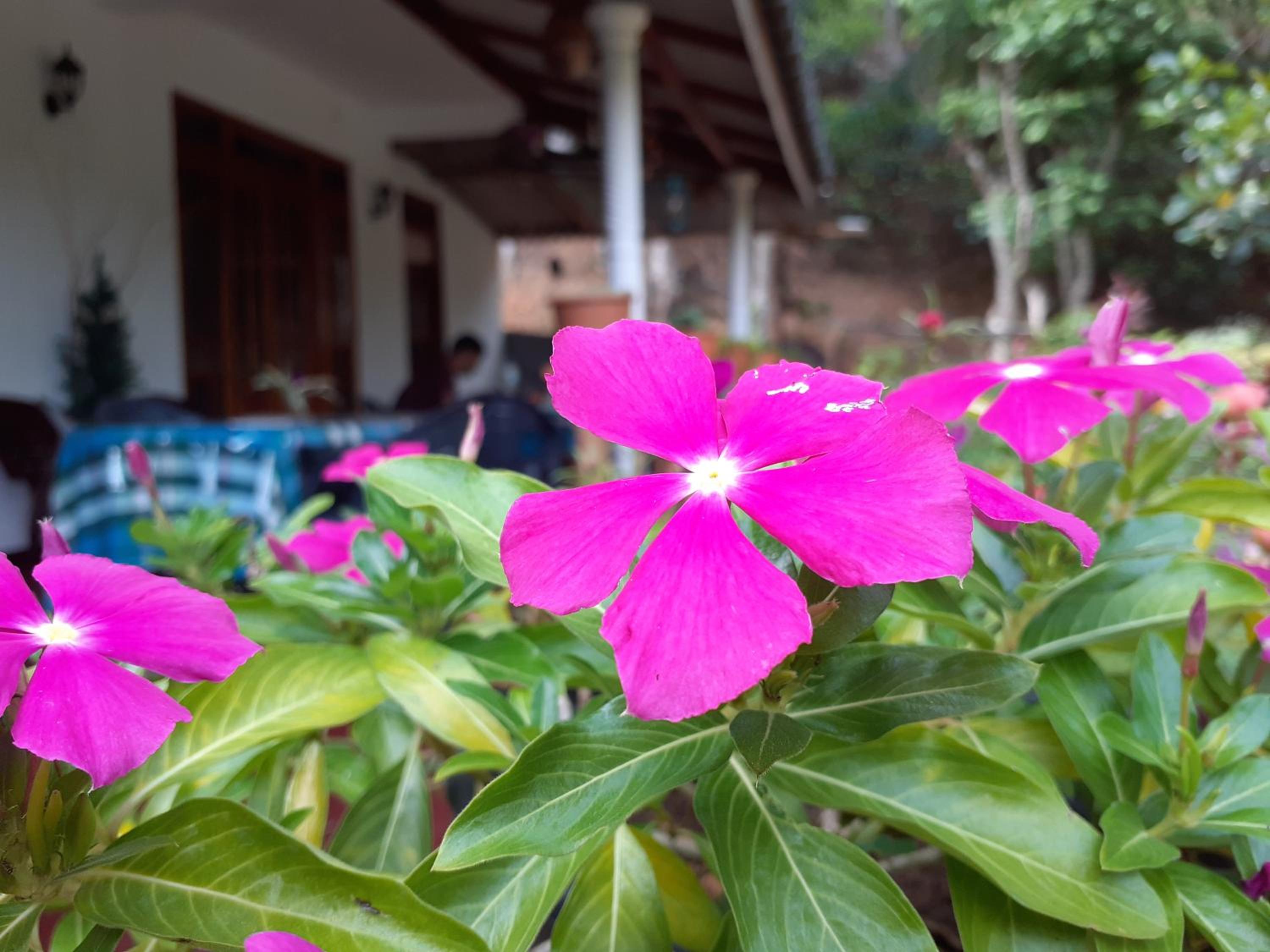 Secret Nest Homestay