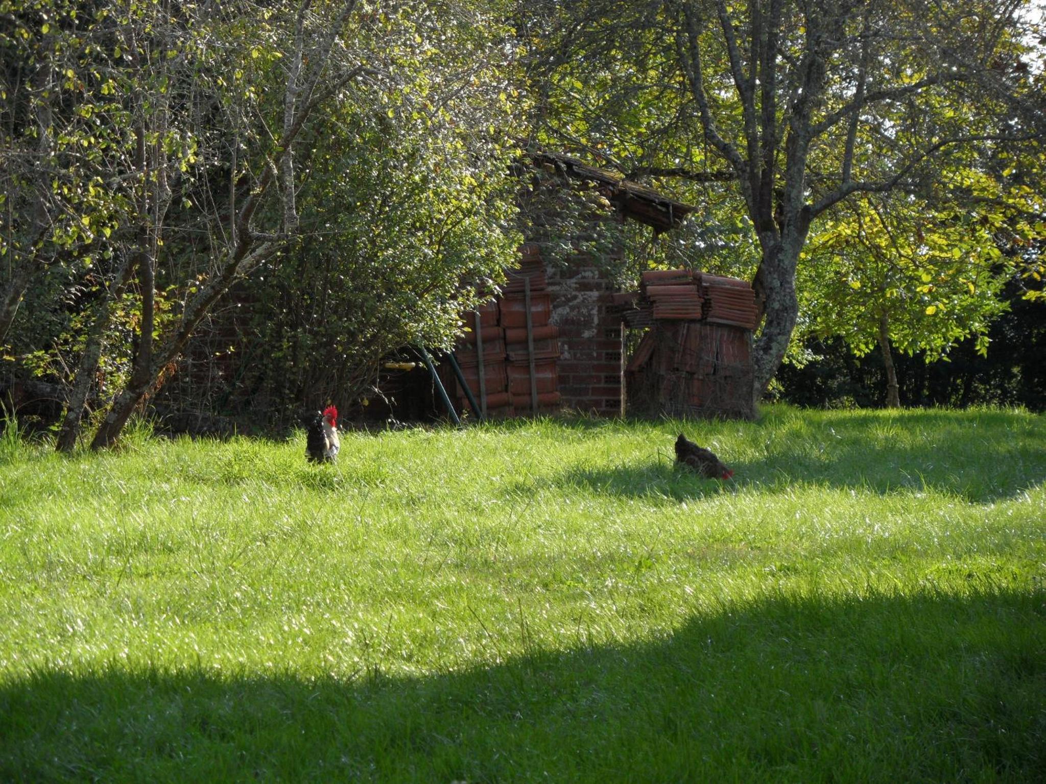 Photo 15