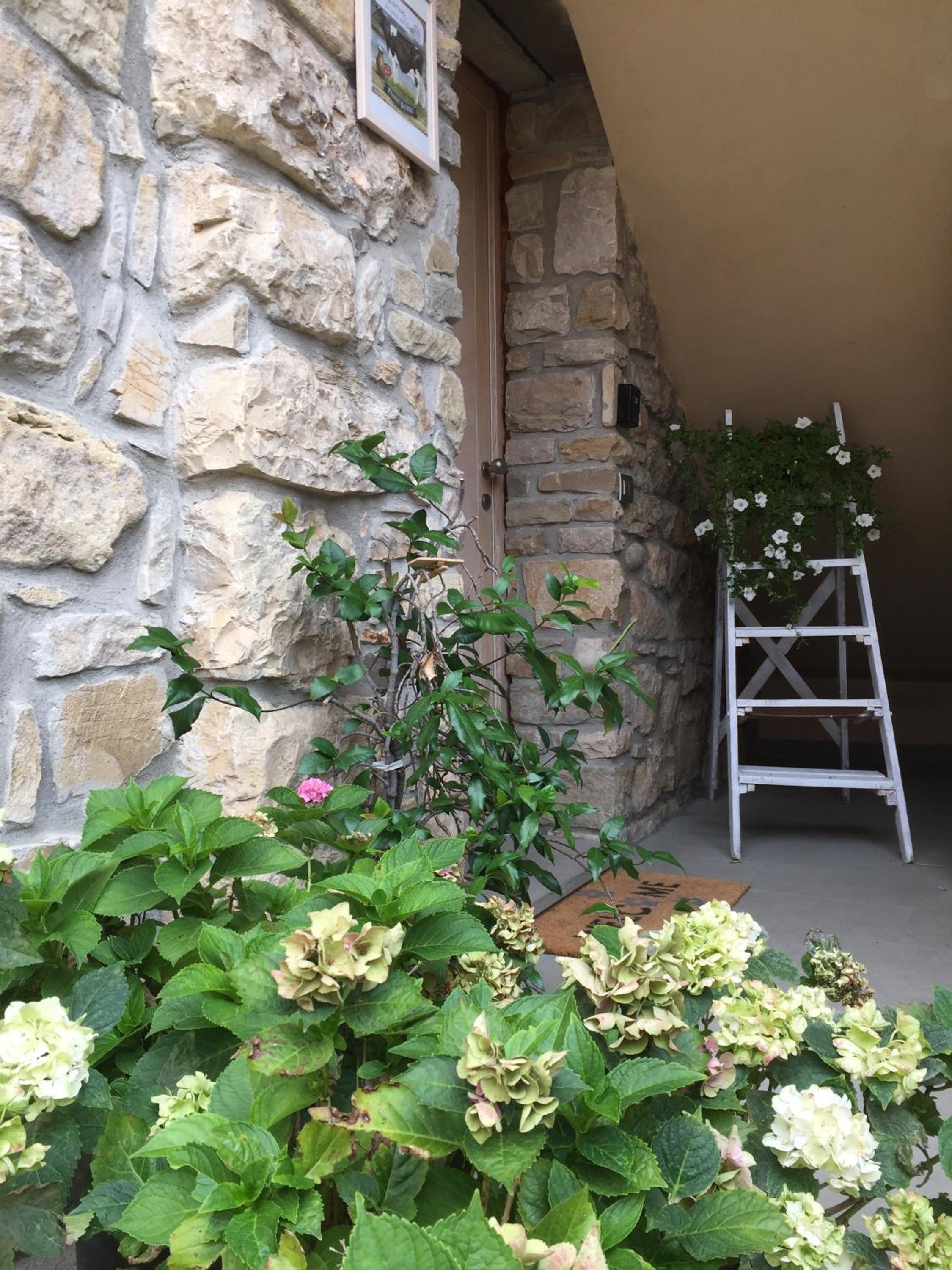 Da Agostino, la casa del latte view 5
