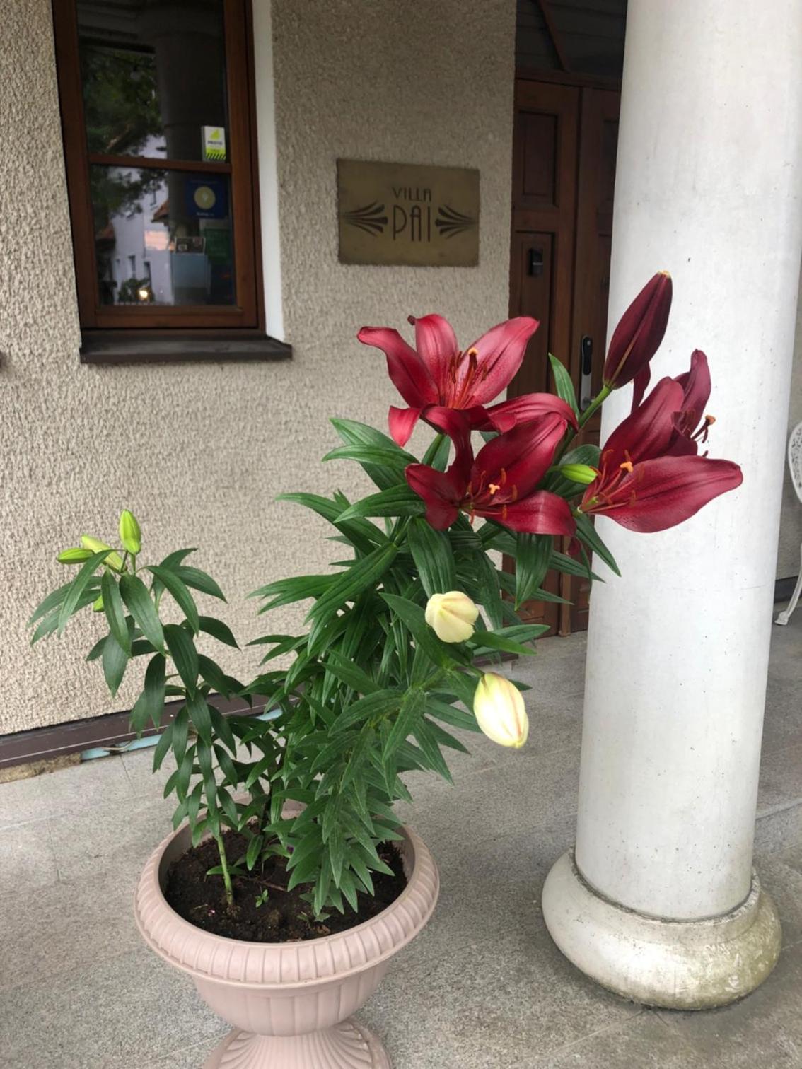 Photo 38