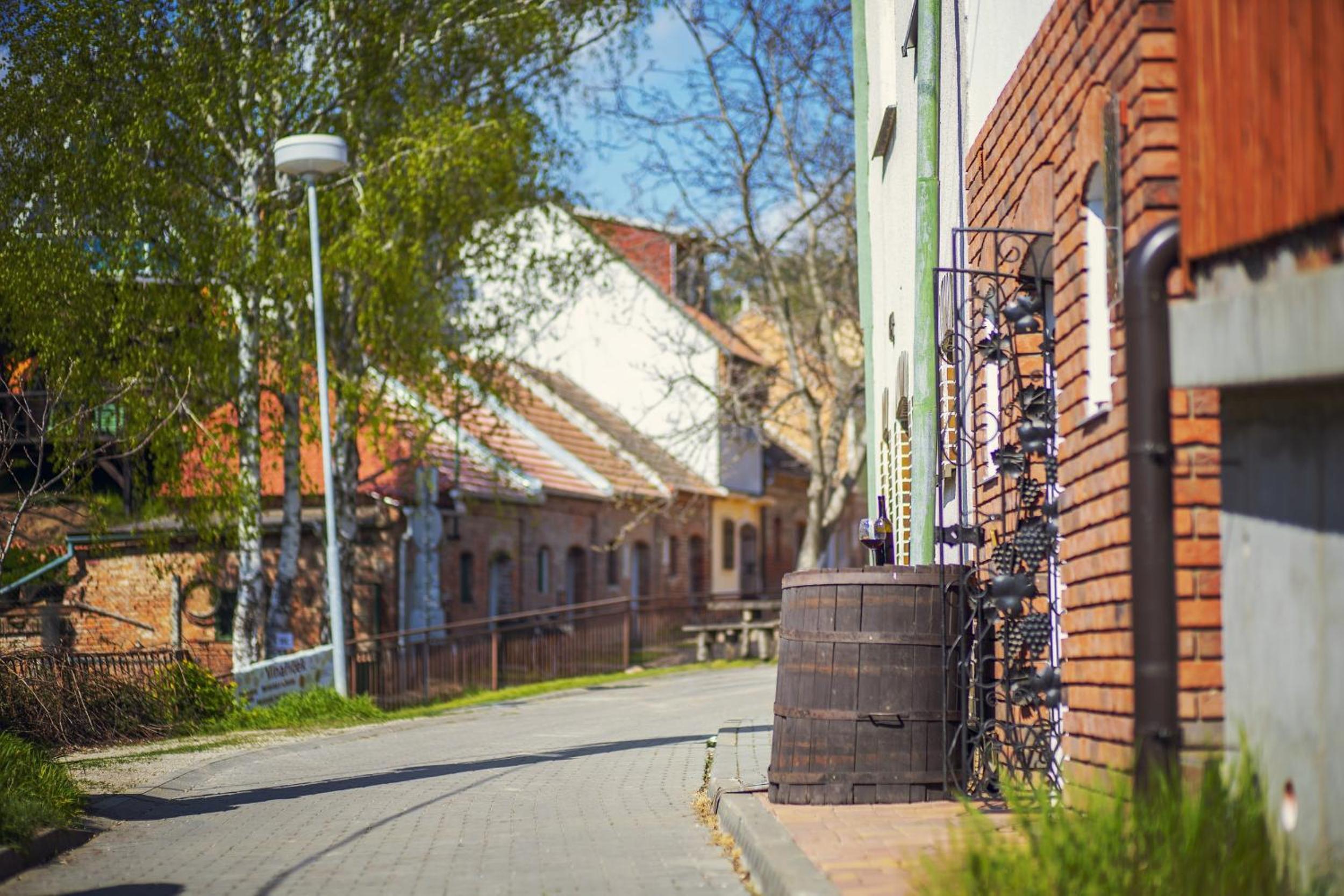 Apartmán Hejč
