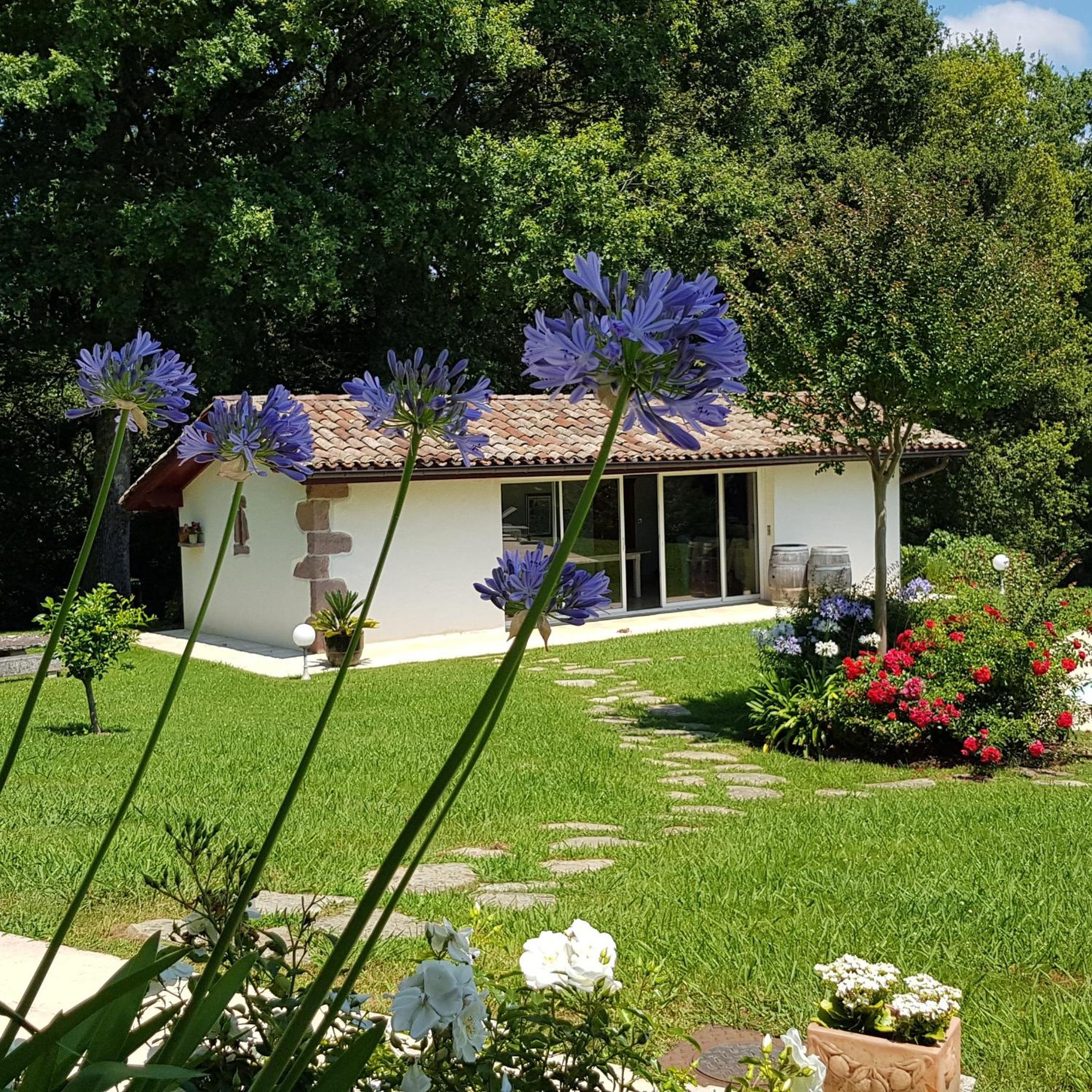 Photo 16