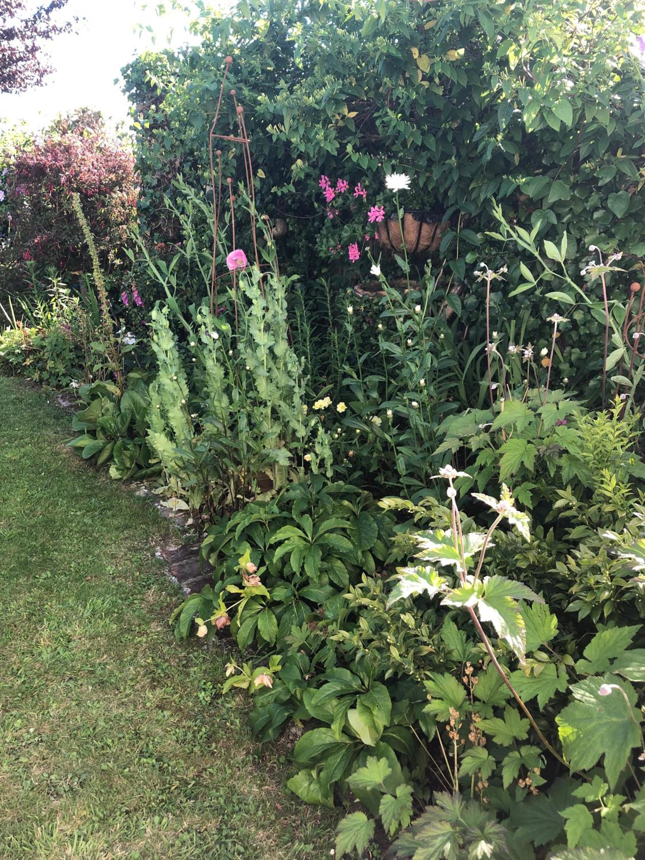 Photo 16