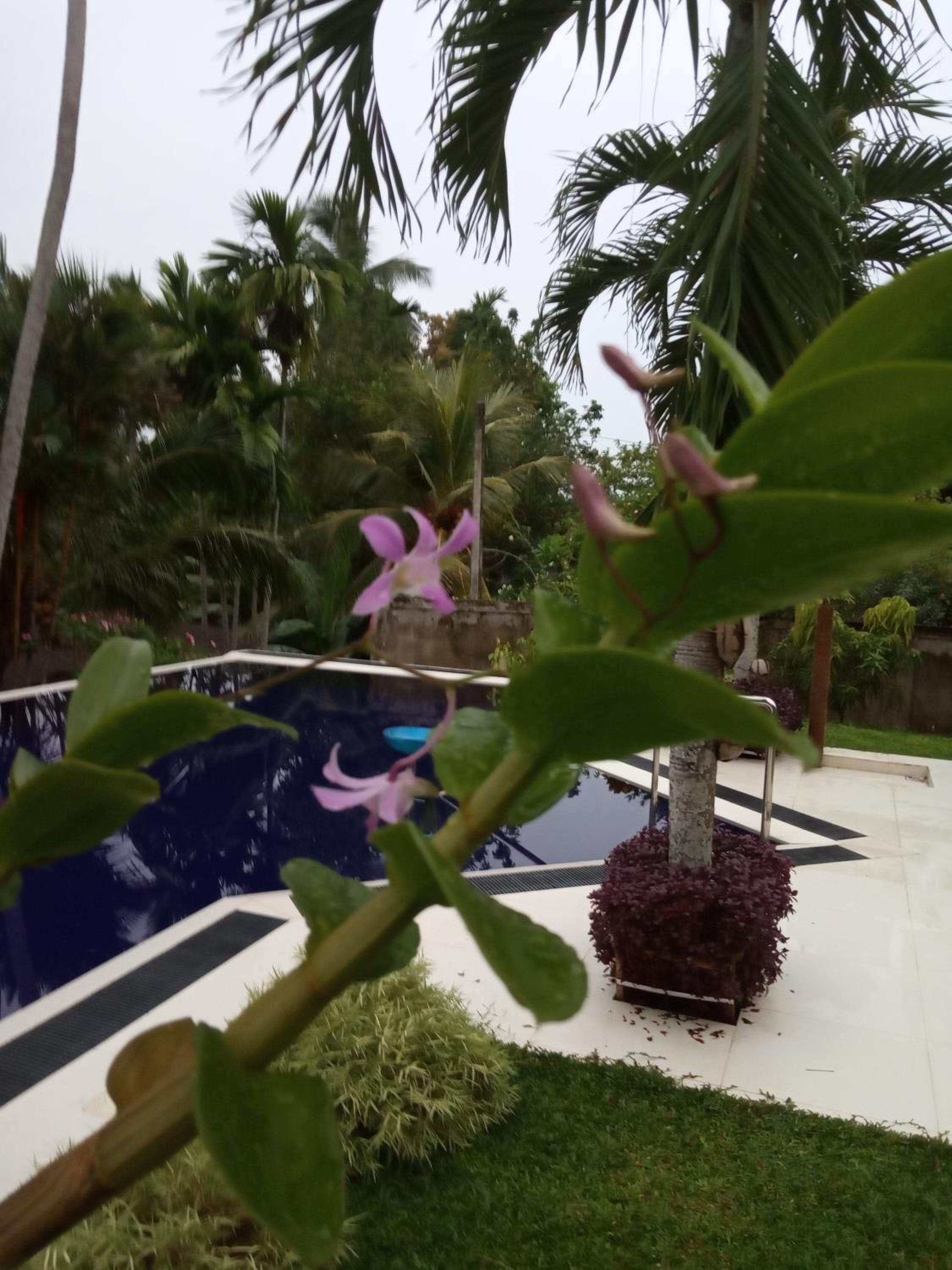 Colibri Villa