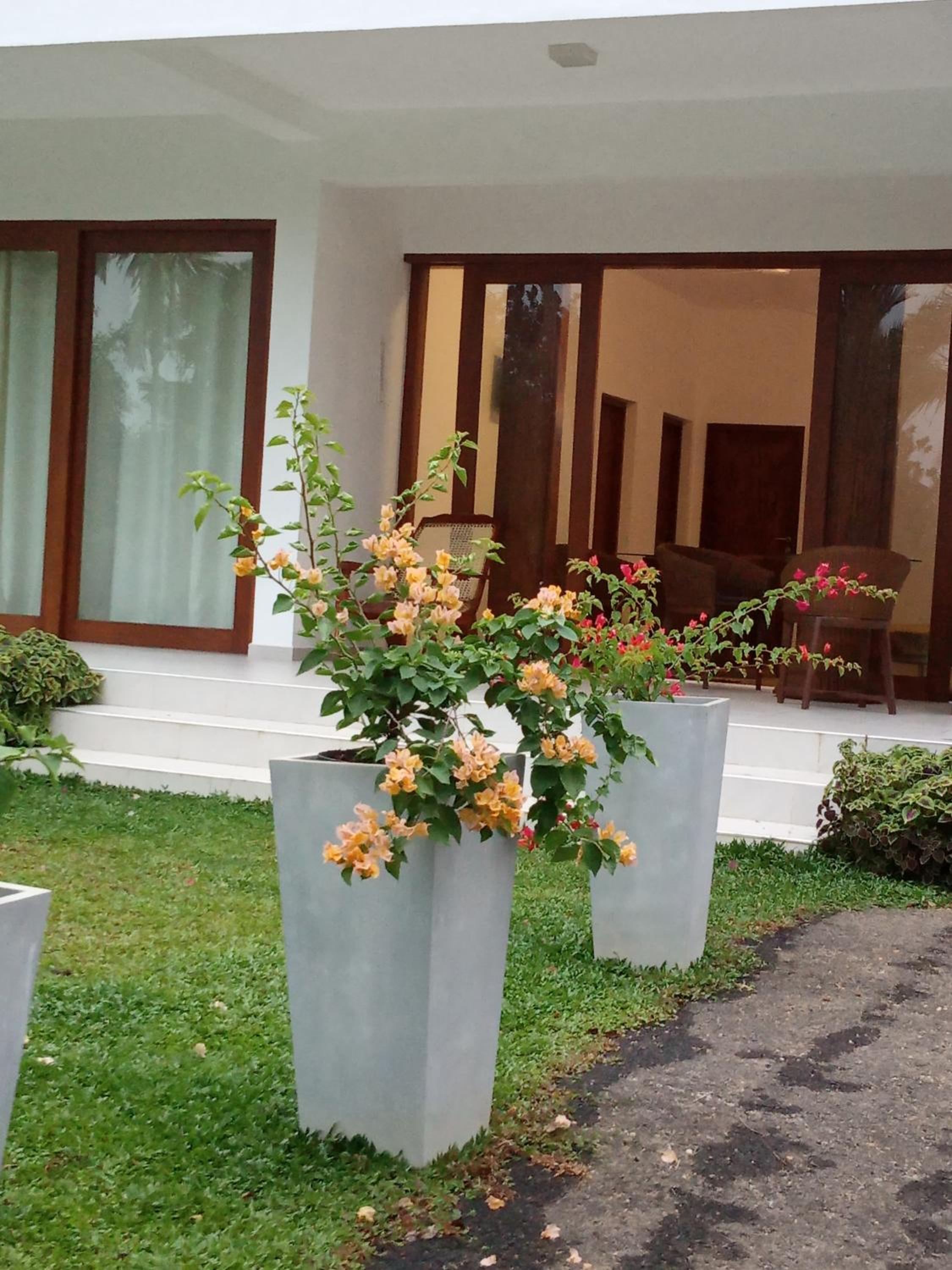 Colibri Villa