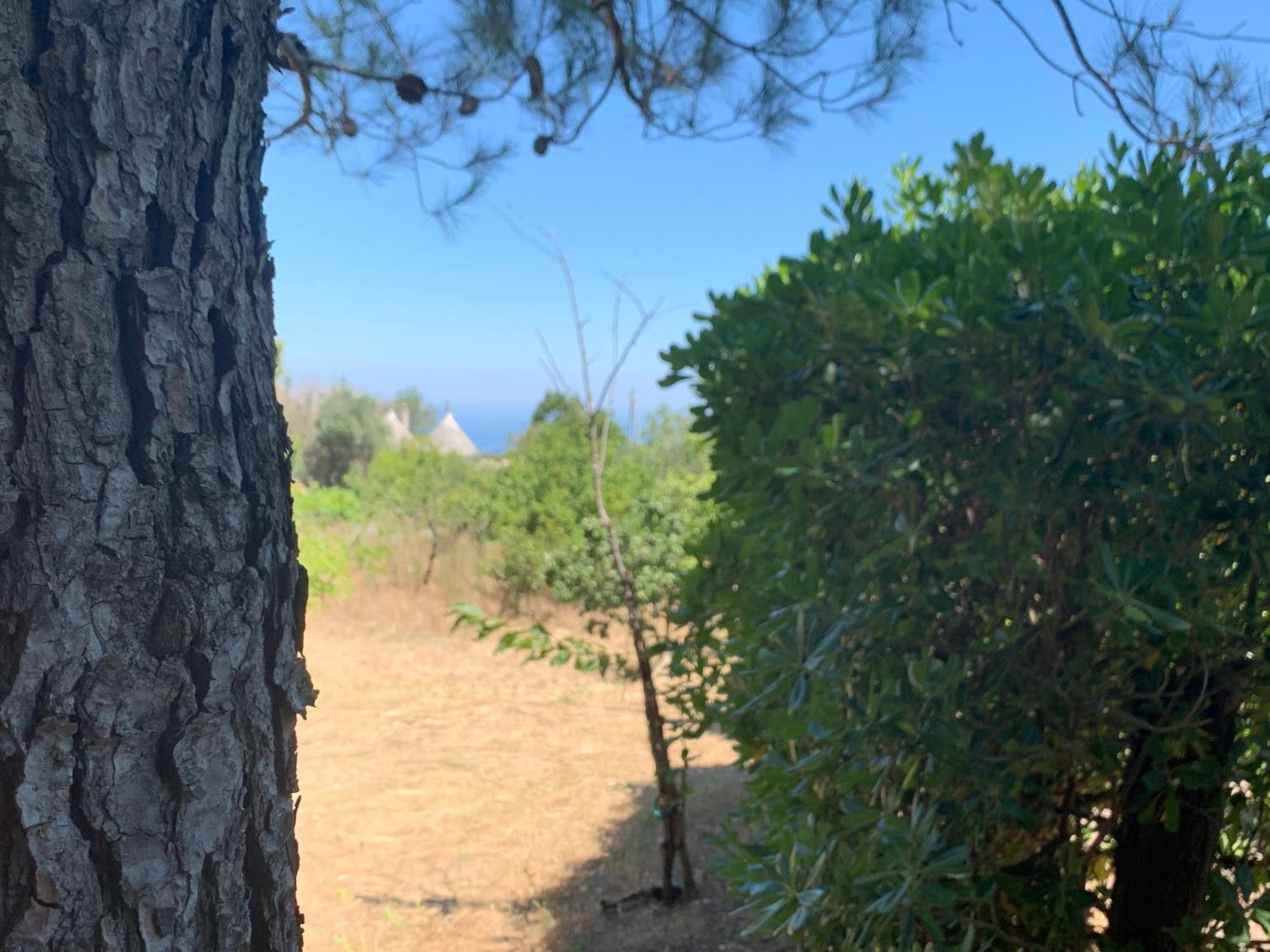 Trullo Pasquale