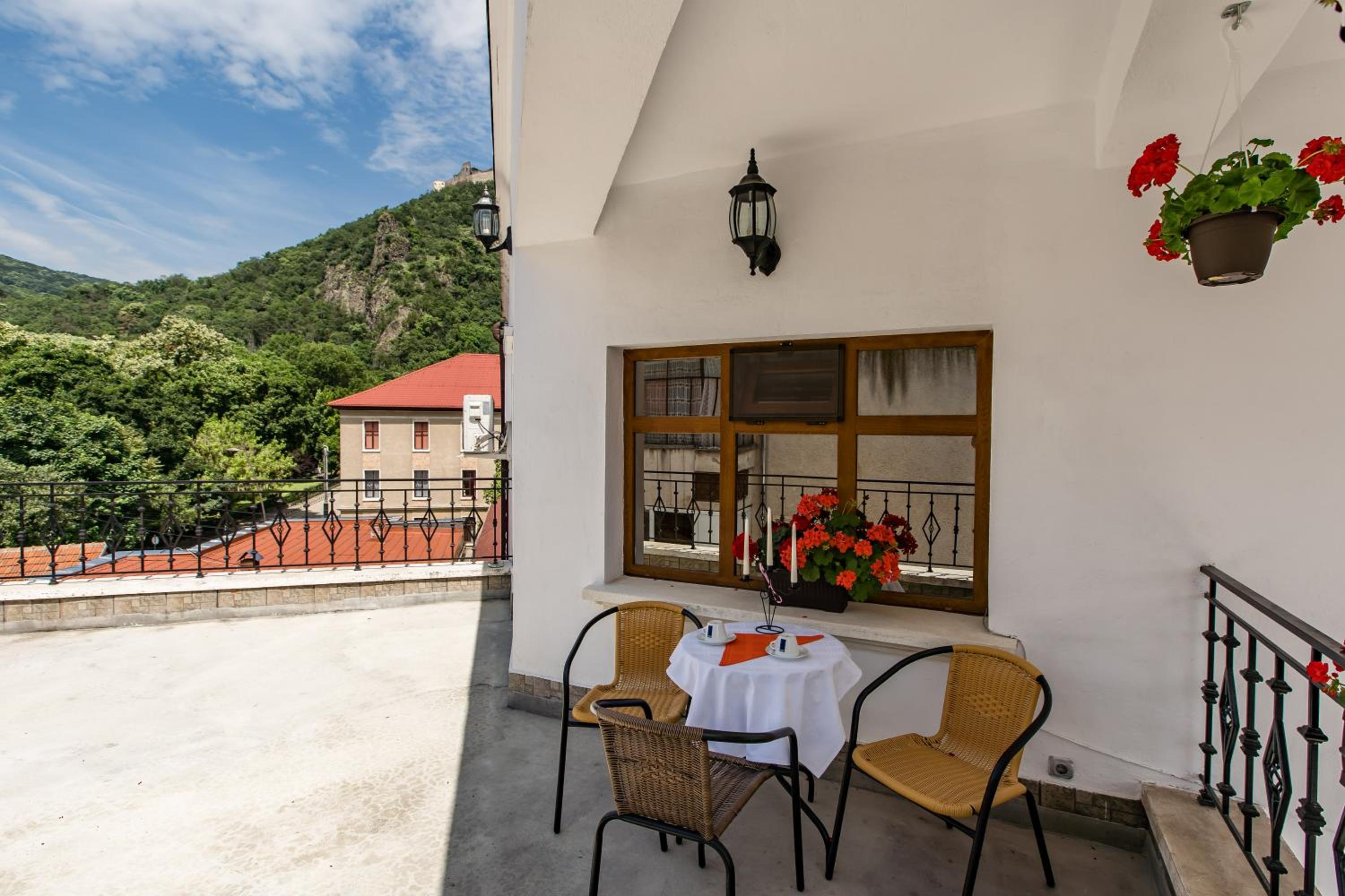 Pensiunea Vila Europa view 3
