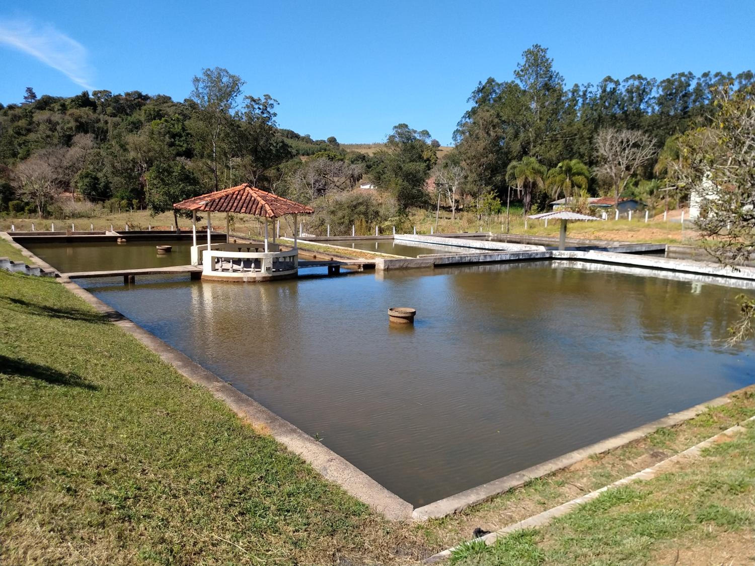 Sítio dos Rodrigues