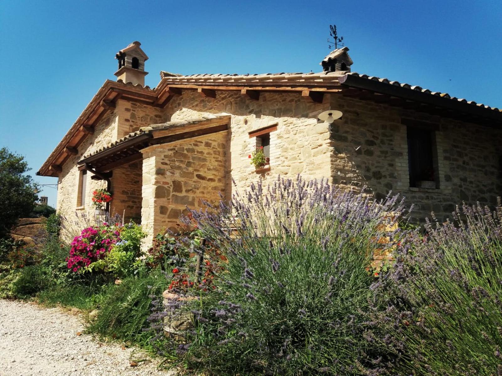 Il Casale di Fiore view 2