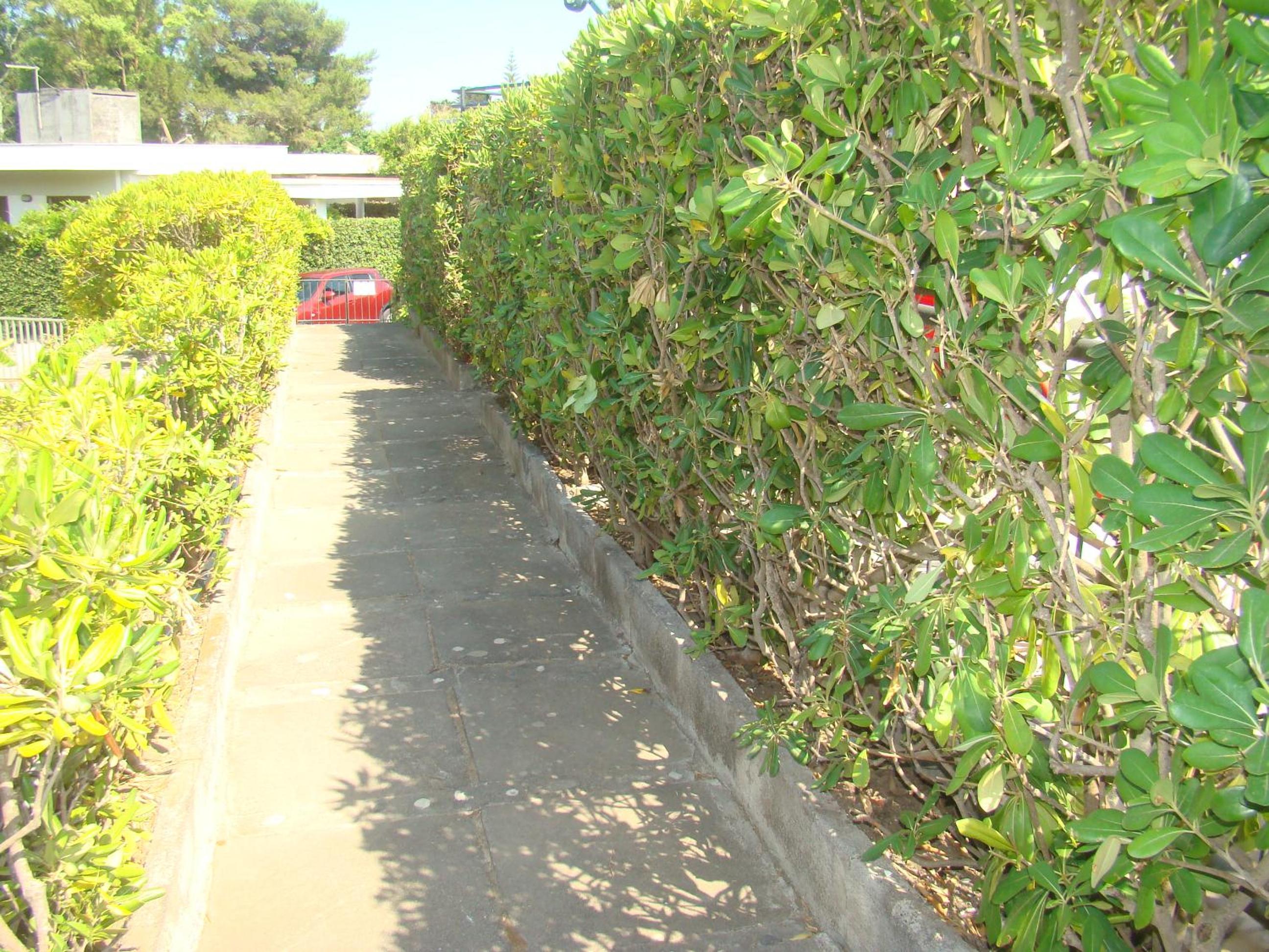 Photo 32