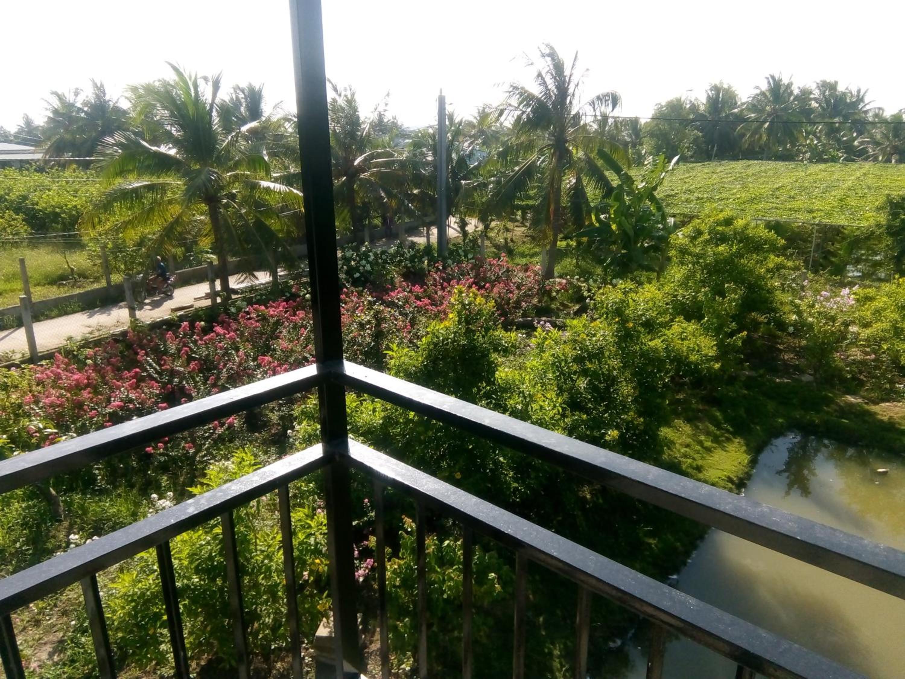 Thạch Thảo Homestay