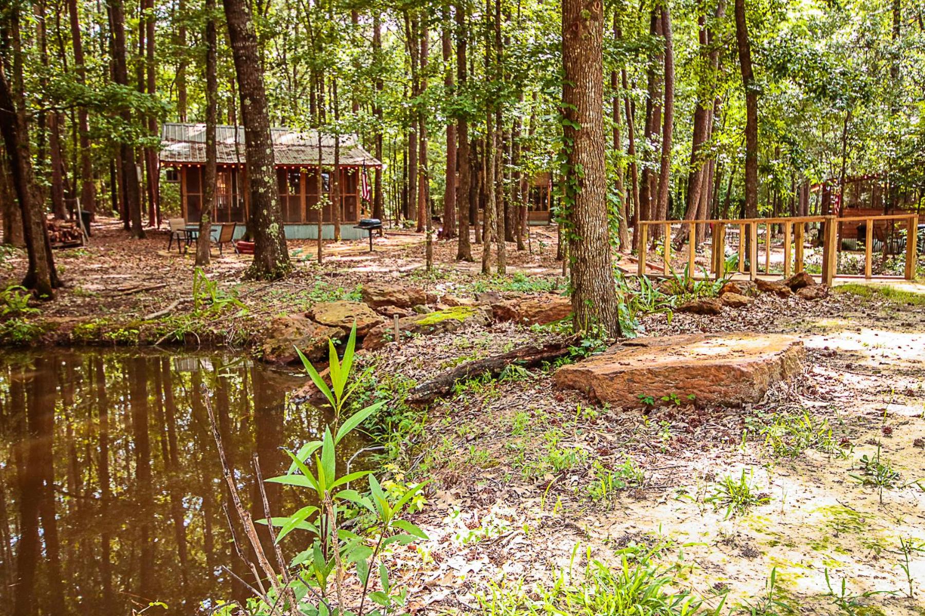 The Tree House view 5