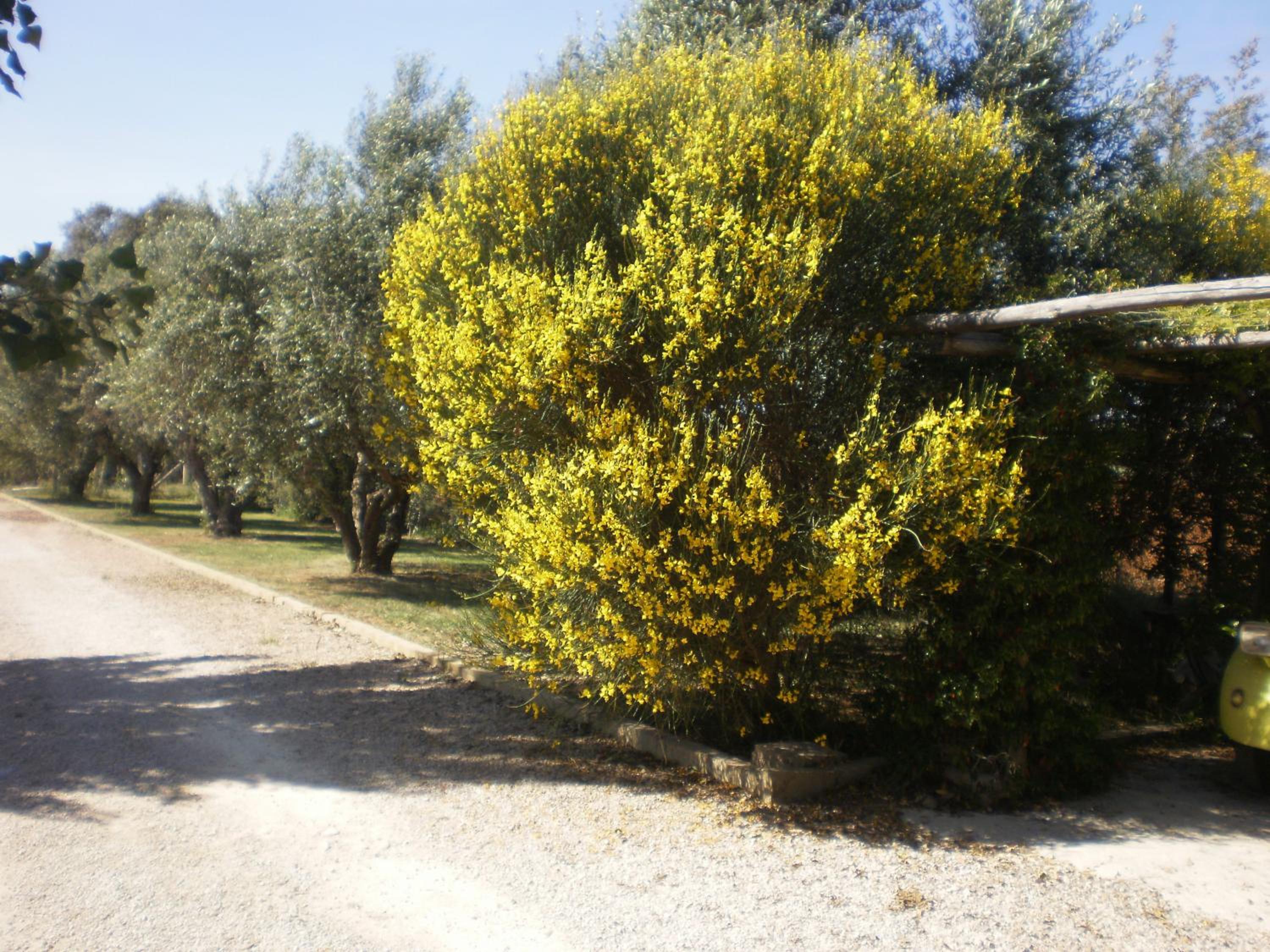 Photo 32