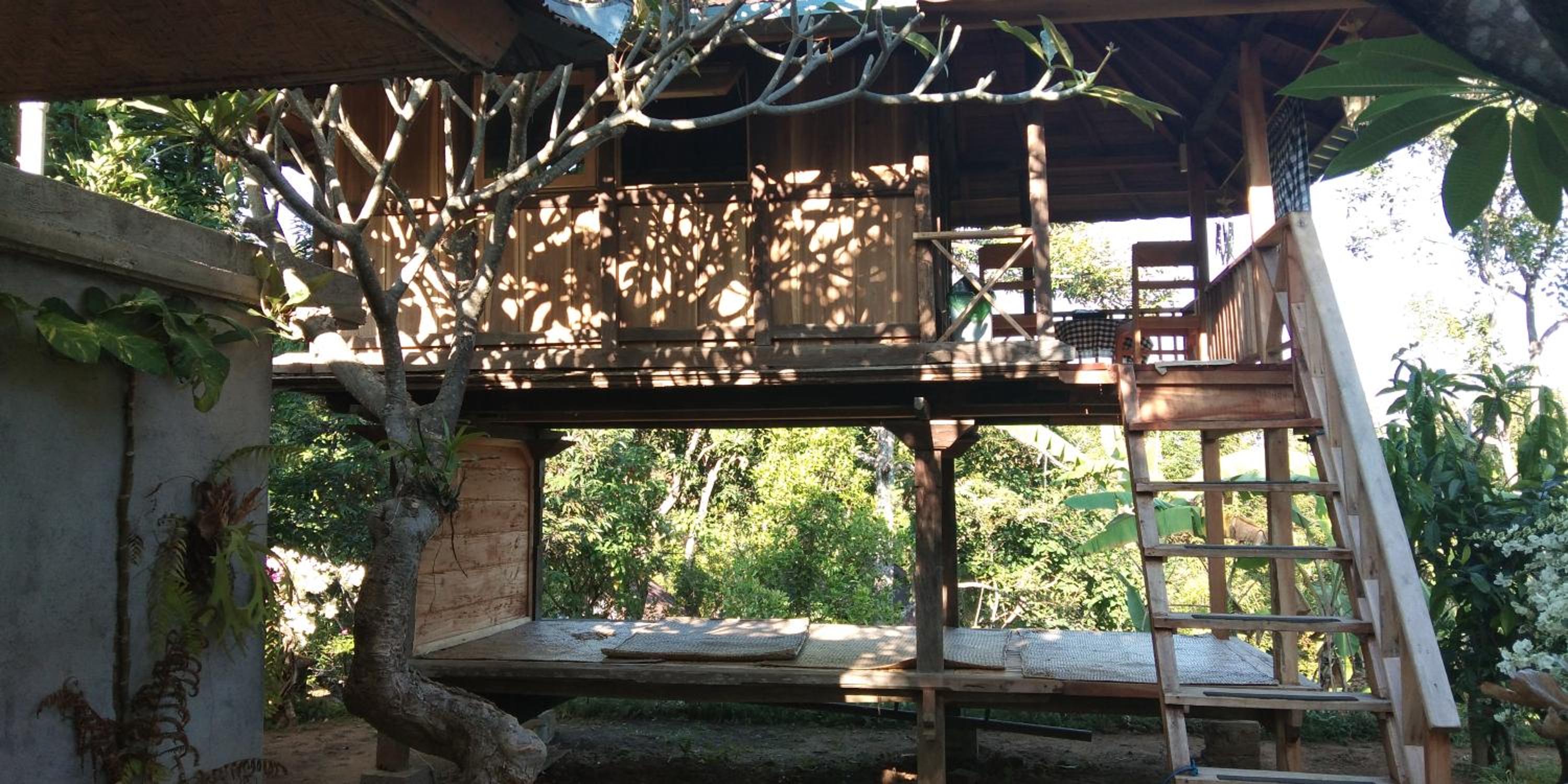 DWM ESA di Kubu Homestay By Reccoma