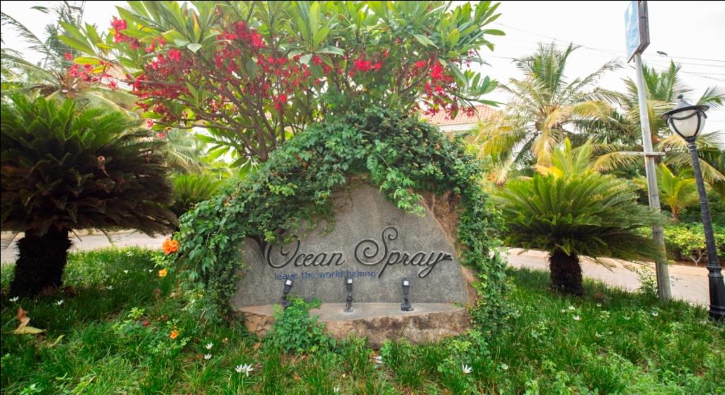 Ocean Spray, photo 61