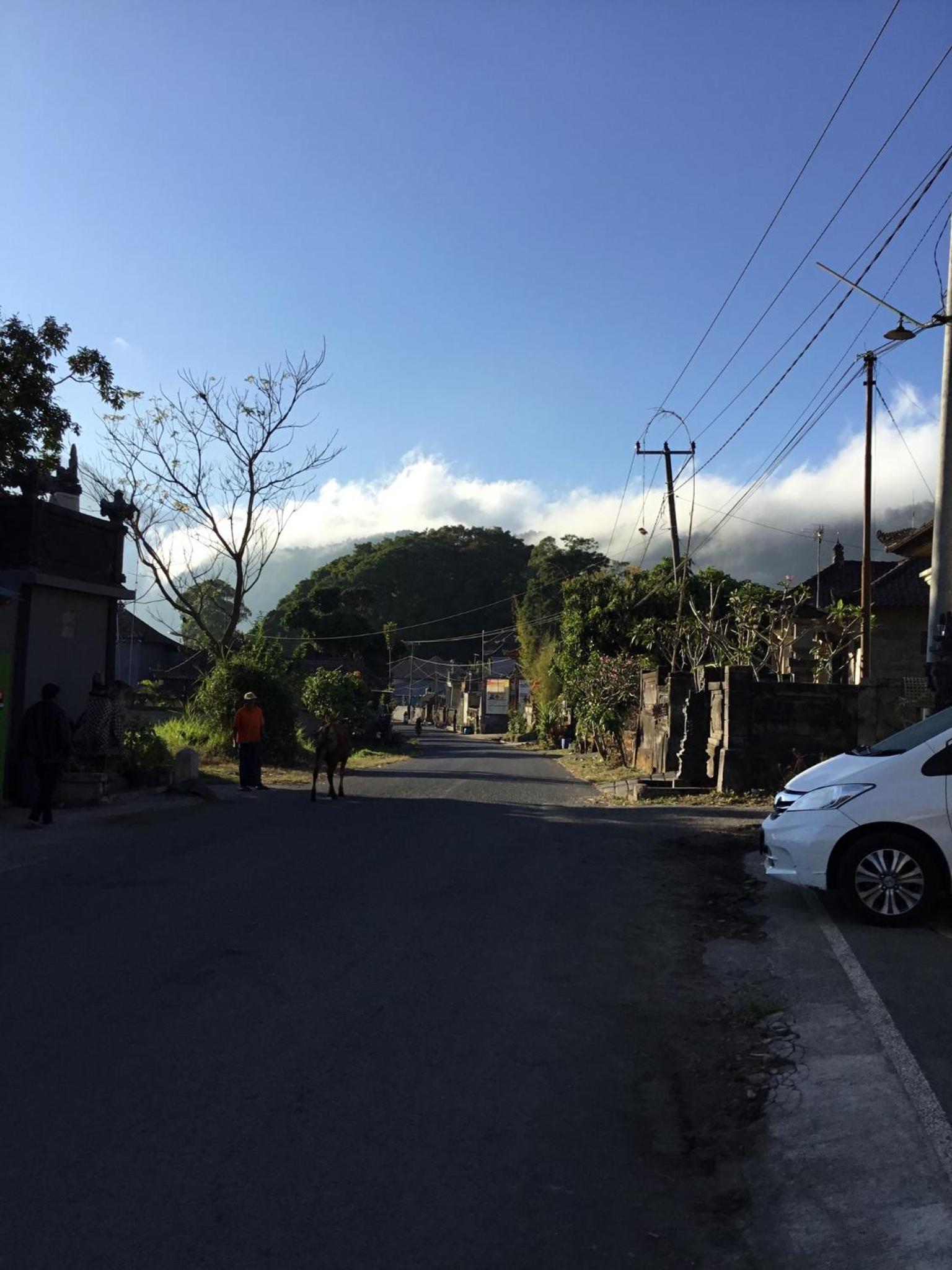 The Villa's Kubu Sandan view 2