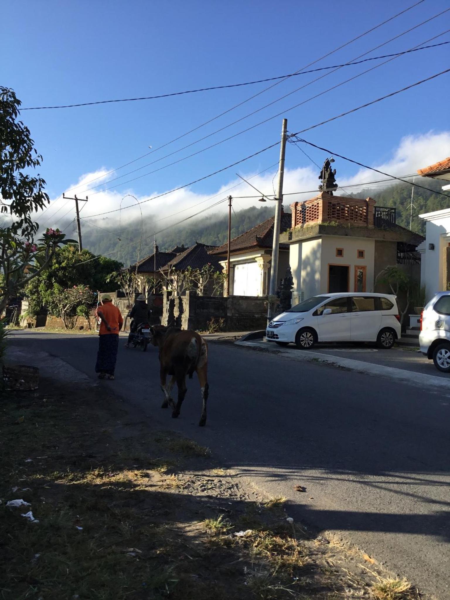 The Villa's Kubu Sandan view 4