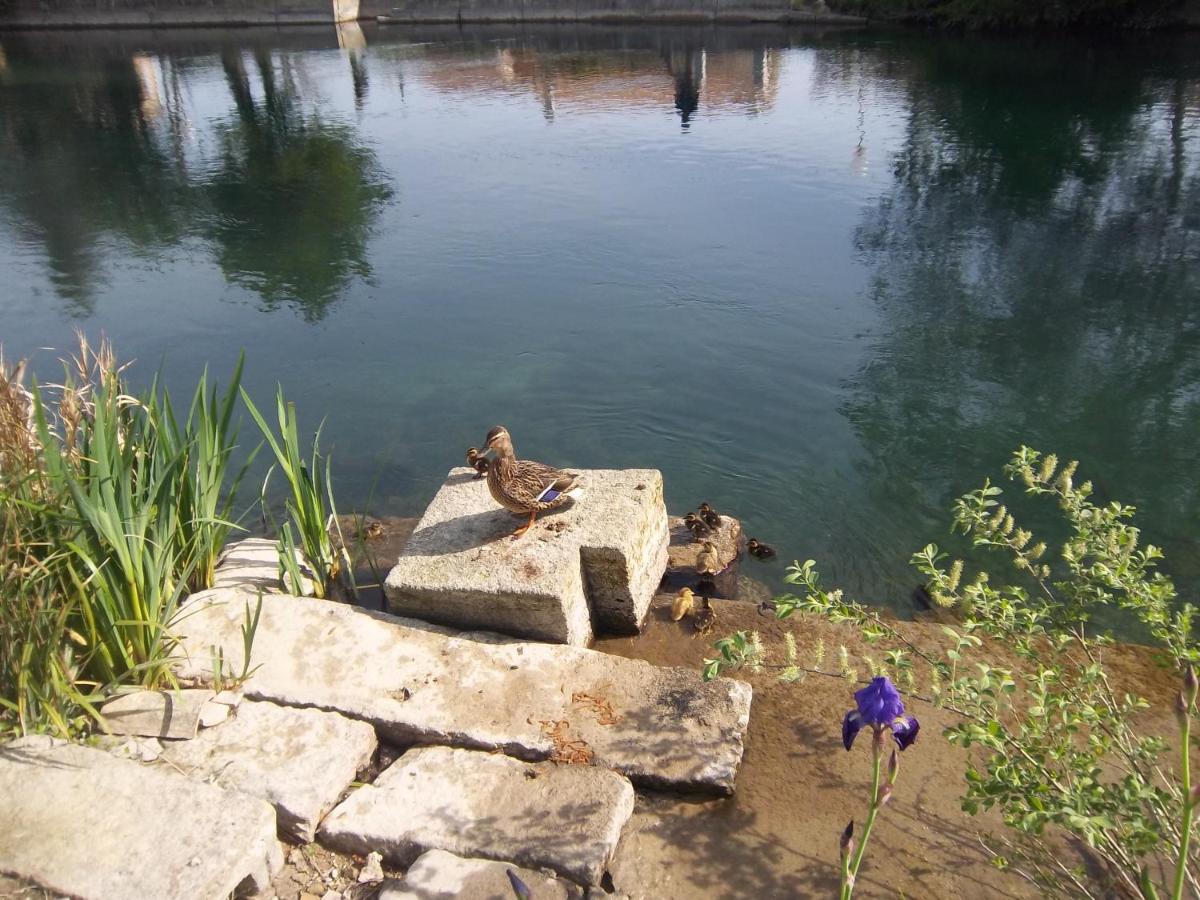 Photo 32