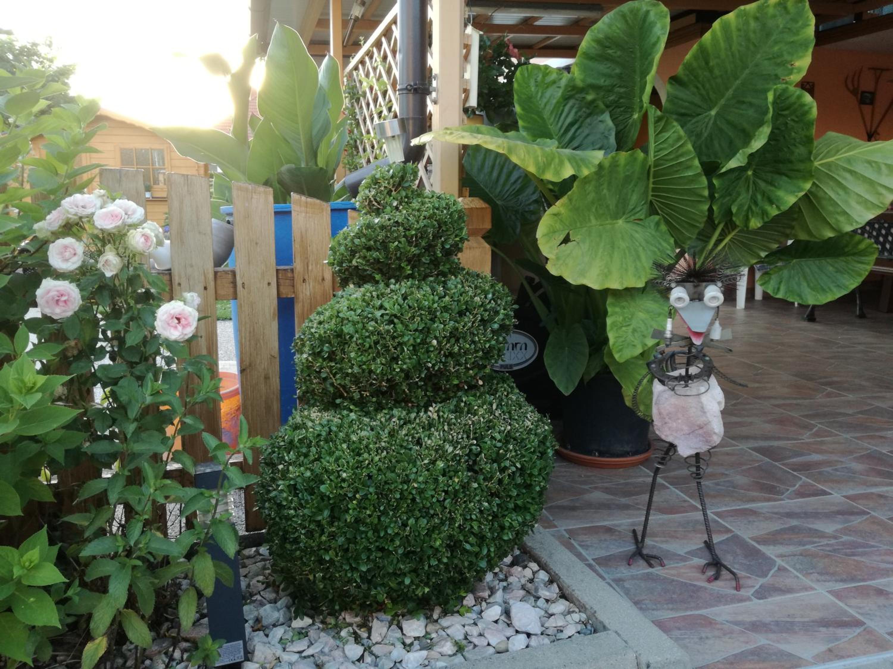 Photo 9