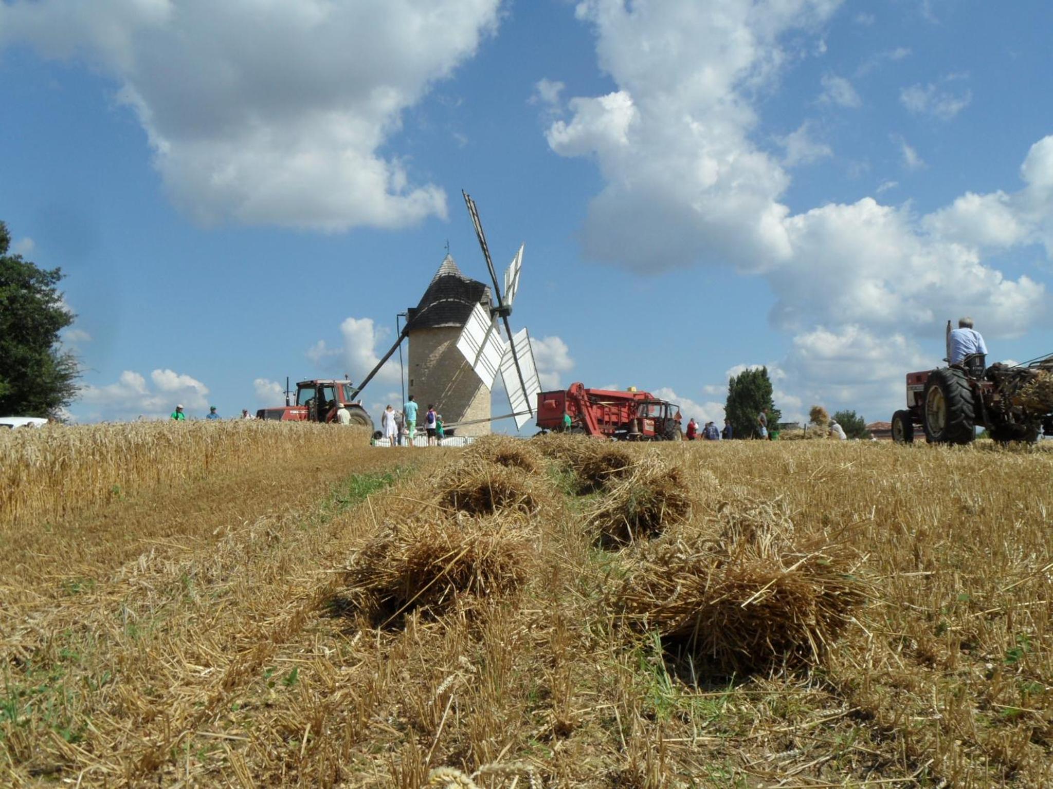 Photo 14