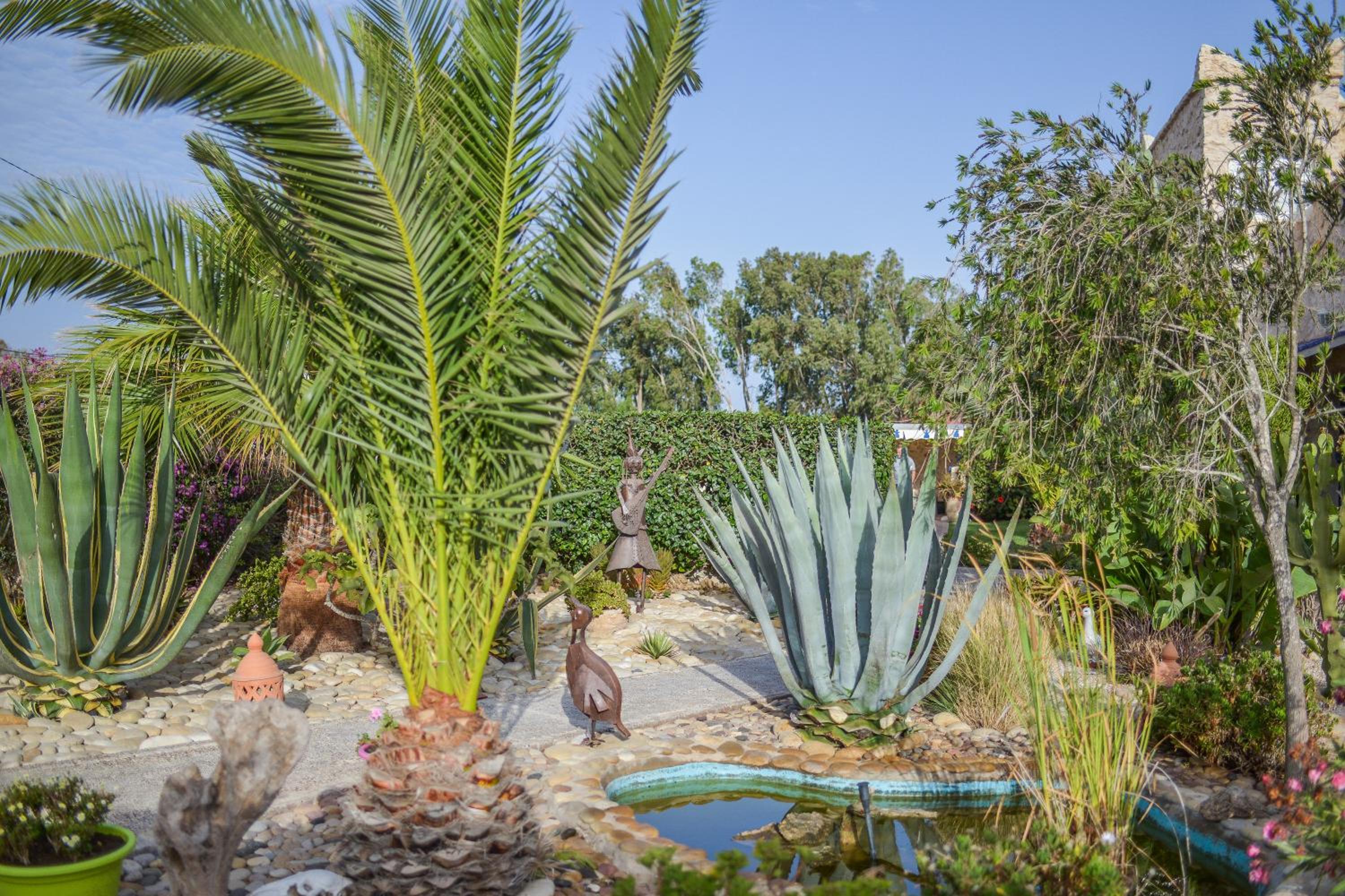 Photo 8