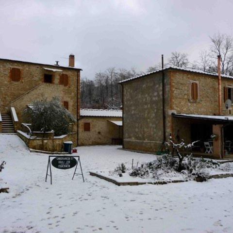 Photo 49