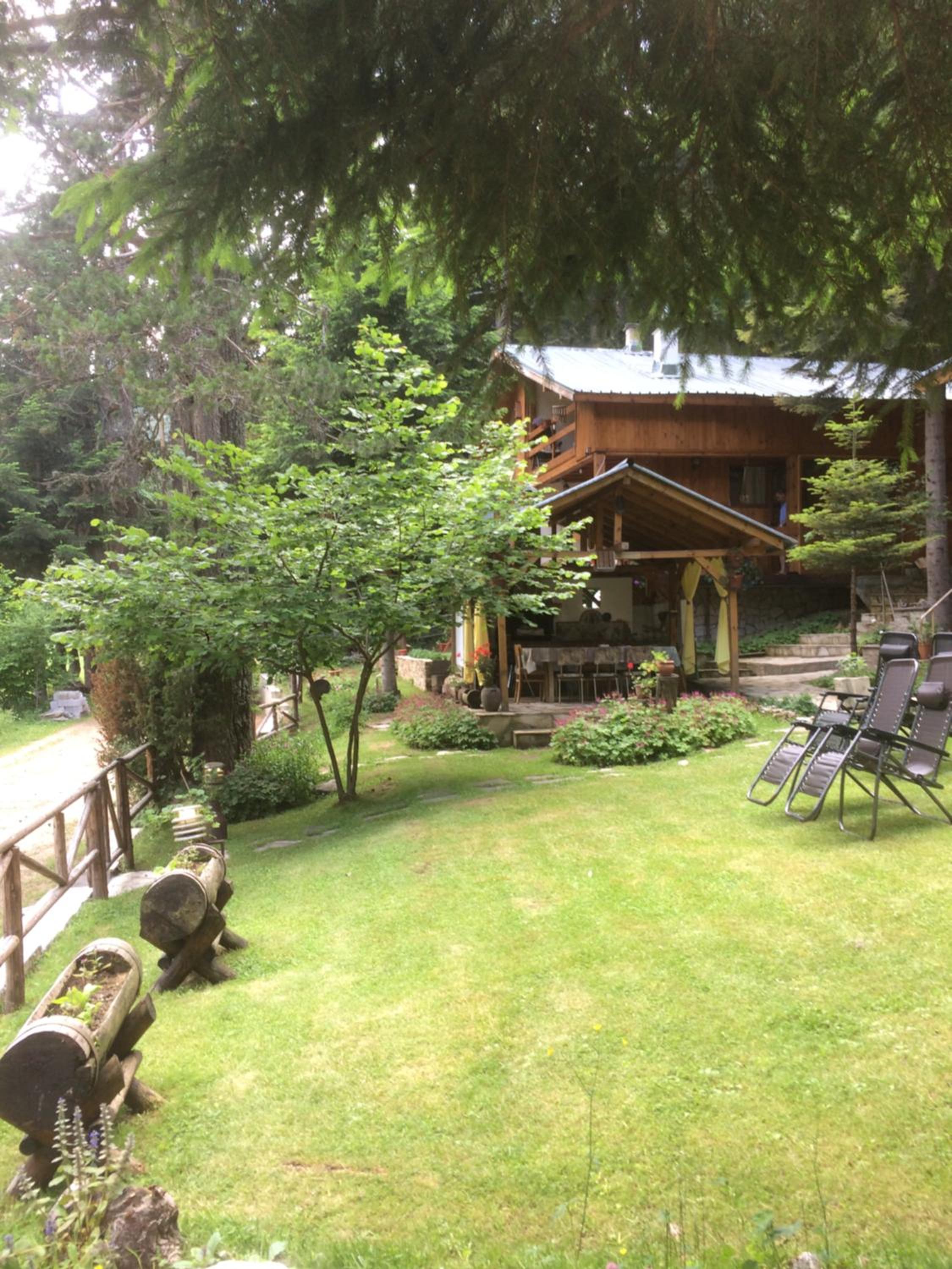 Photo 9