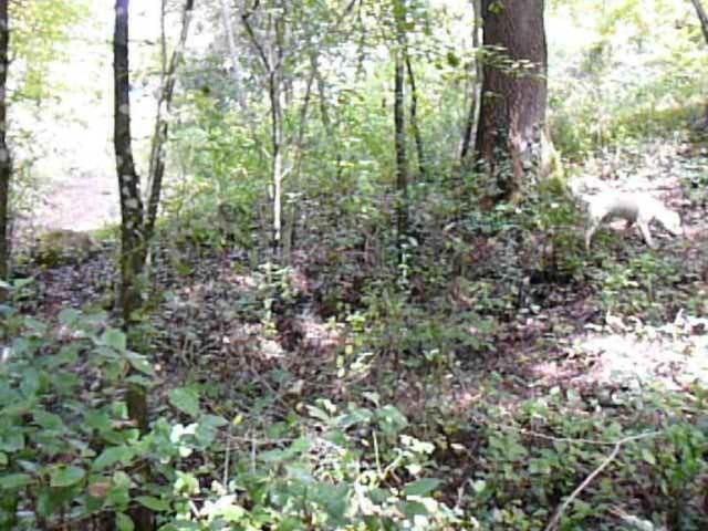 Photo 34