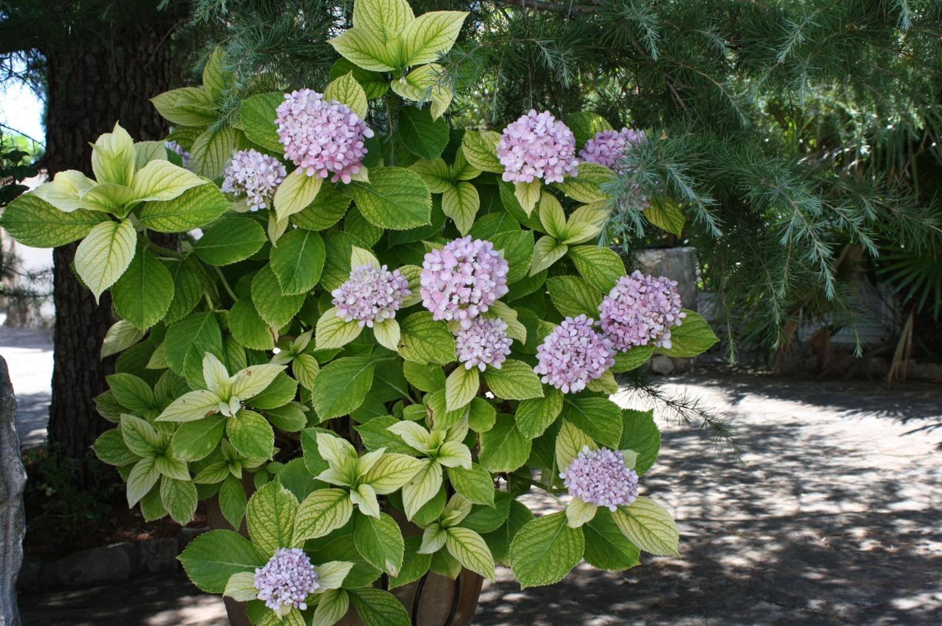 Photo 22