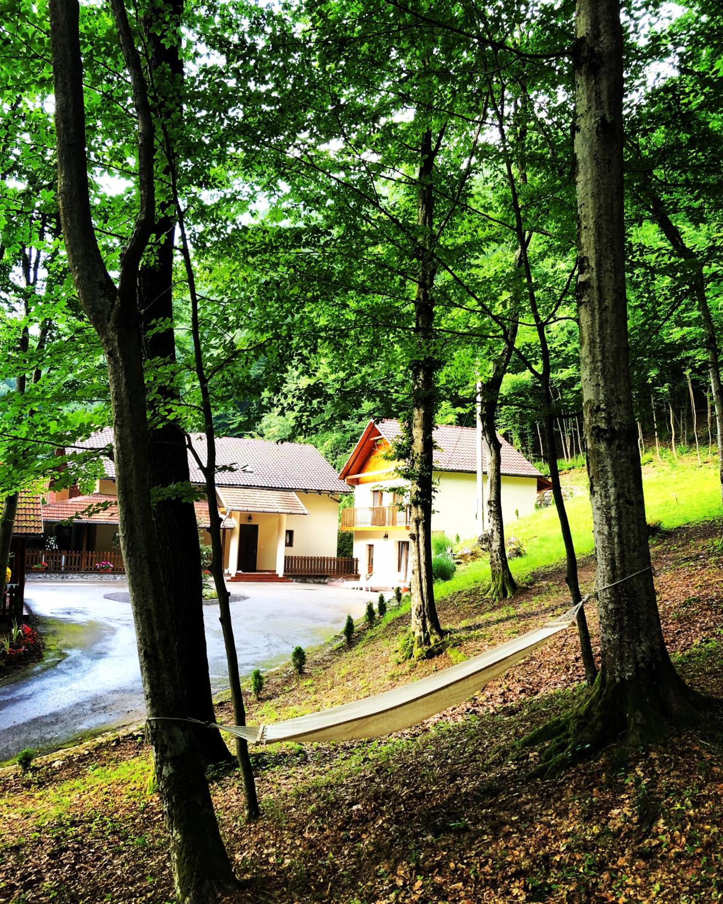 Photo 43