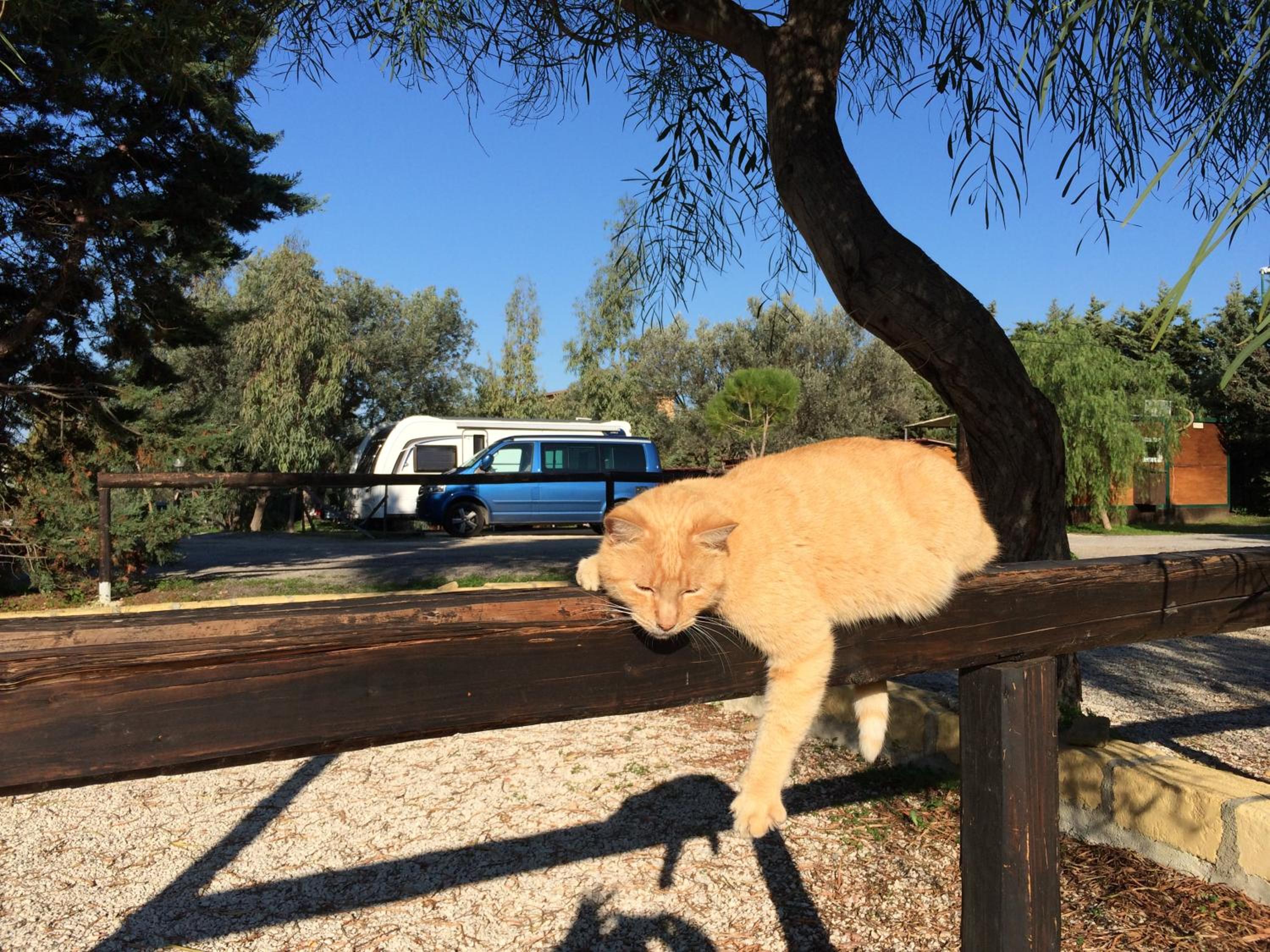 Camping Valle dei Templi