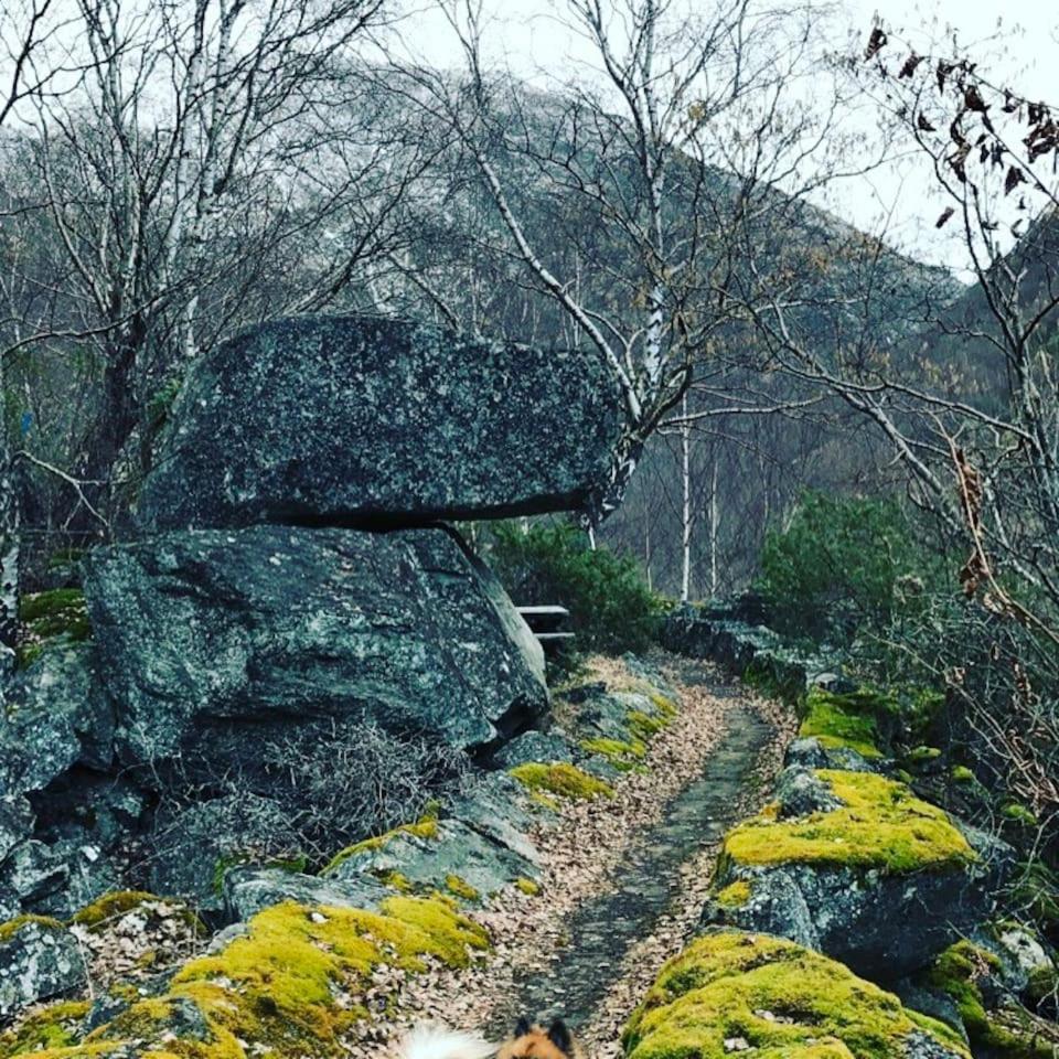 Aobrio Holidayhouse, authentic norwegian farmhouse close to Flåm view 4