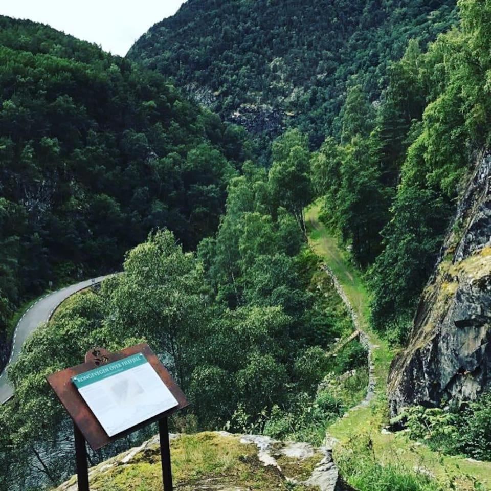 Aobrio Holidayhouse, authentic norwegian farmhouse close to Flåm view 5
