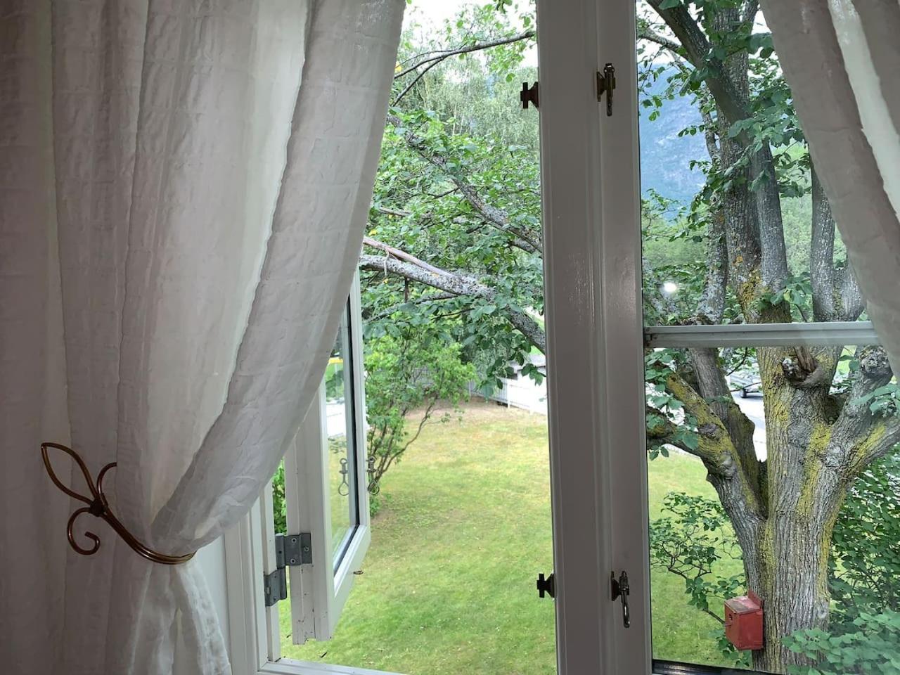 Photo 21