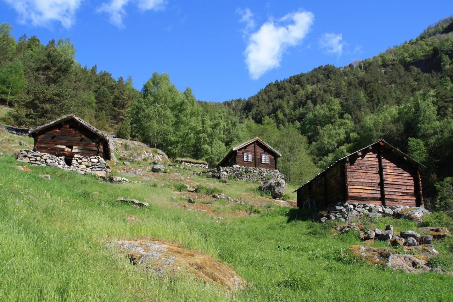 Photo 40