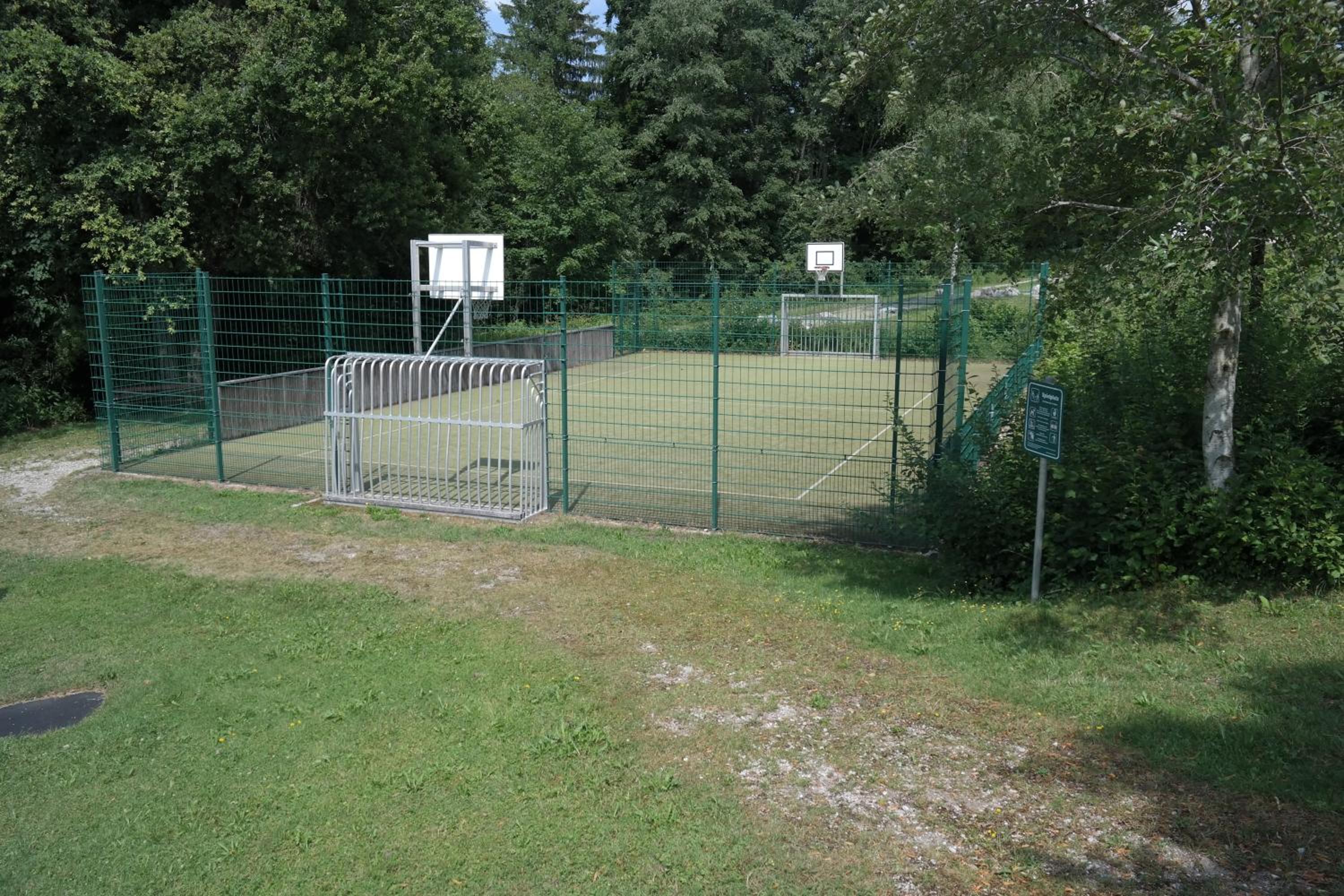Photo 49