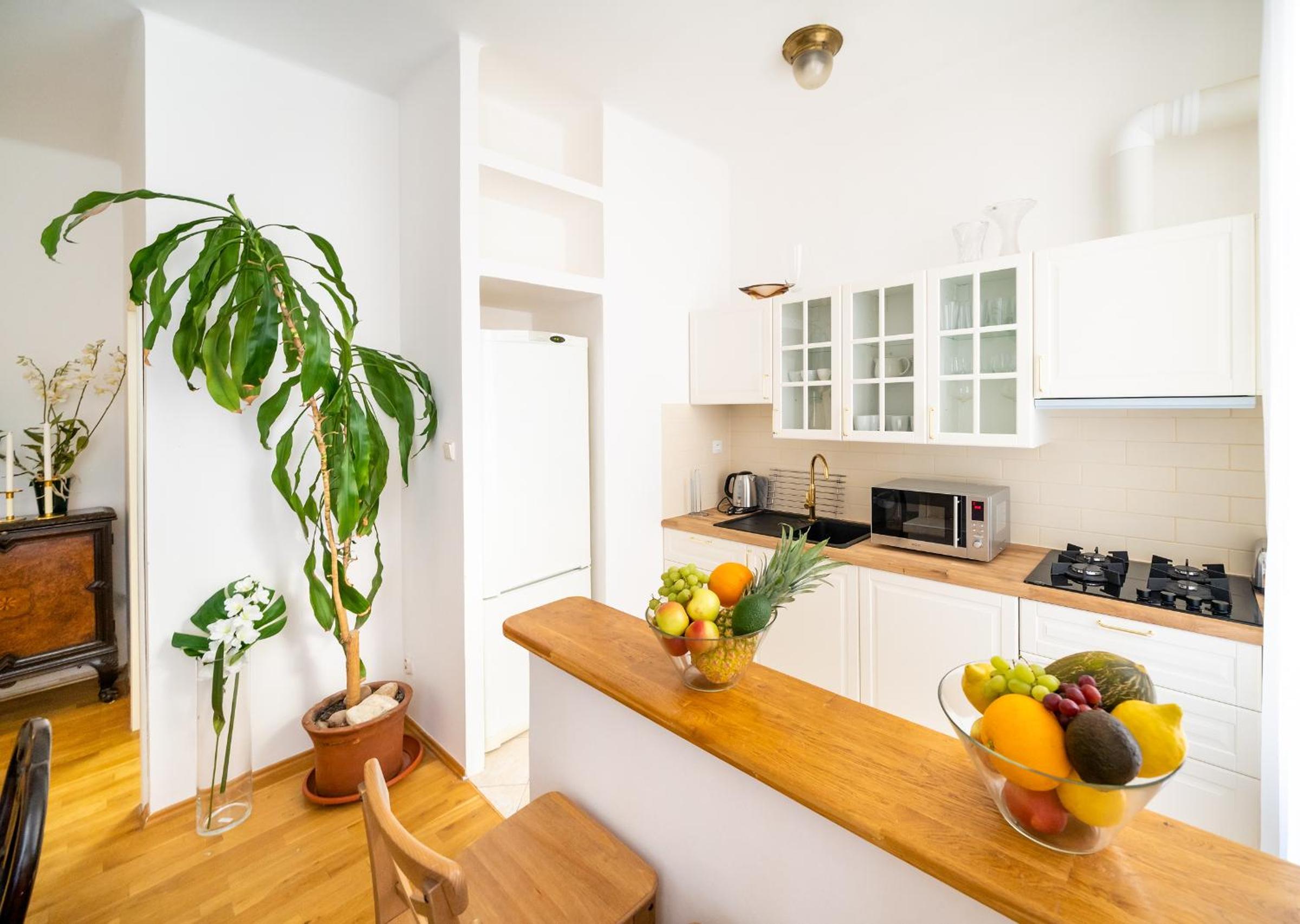 Luxurious Kafka family apt in Old Town