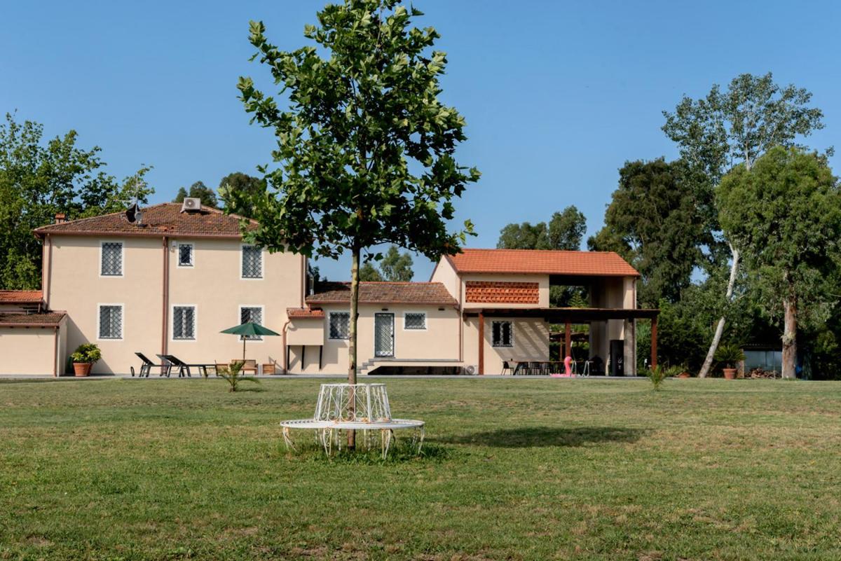 Photo 46