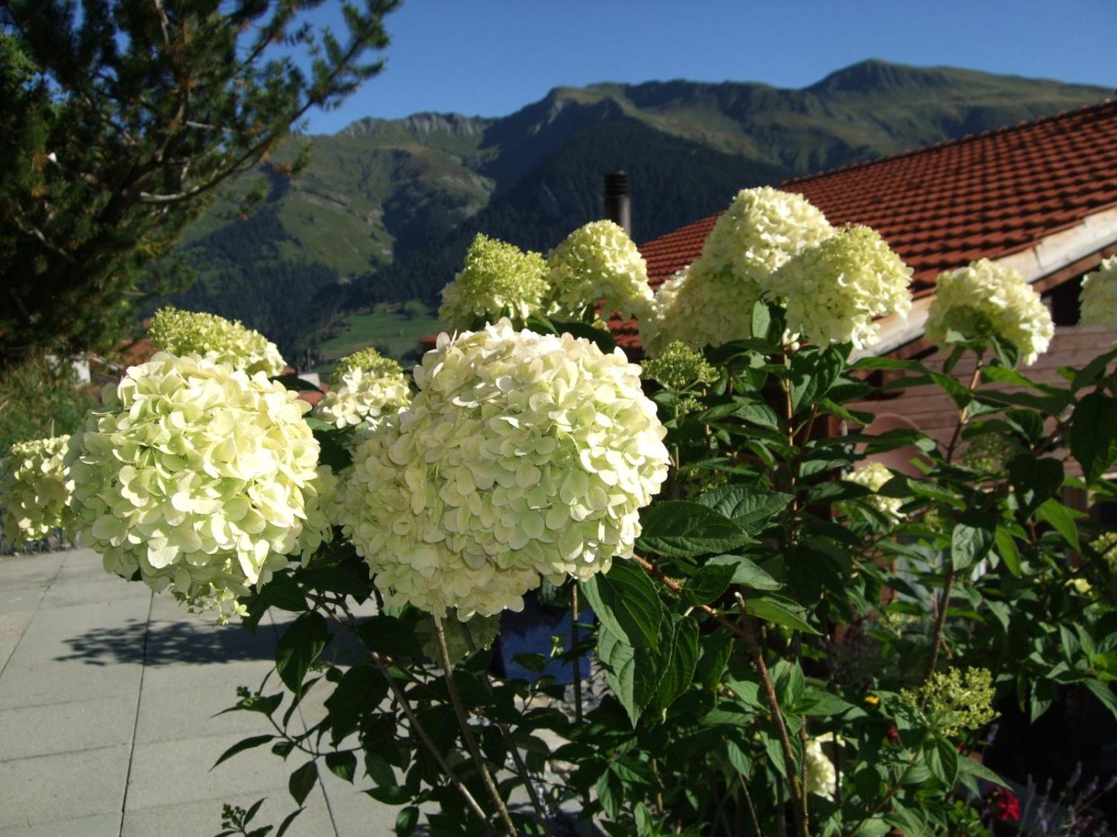 Aegerta Alte Schreinerei