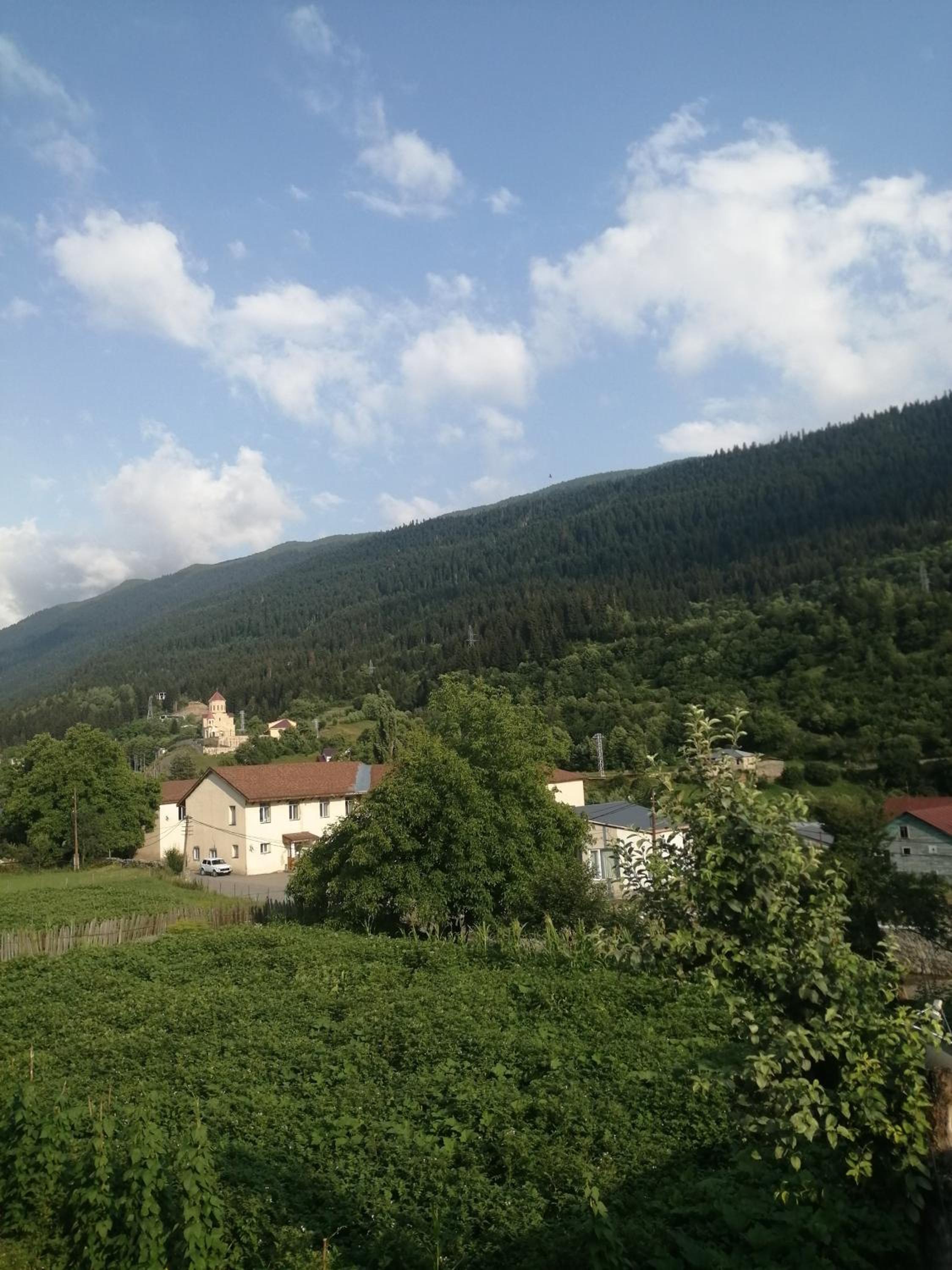 Photo 28