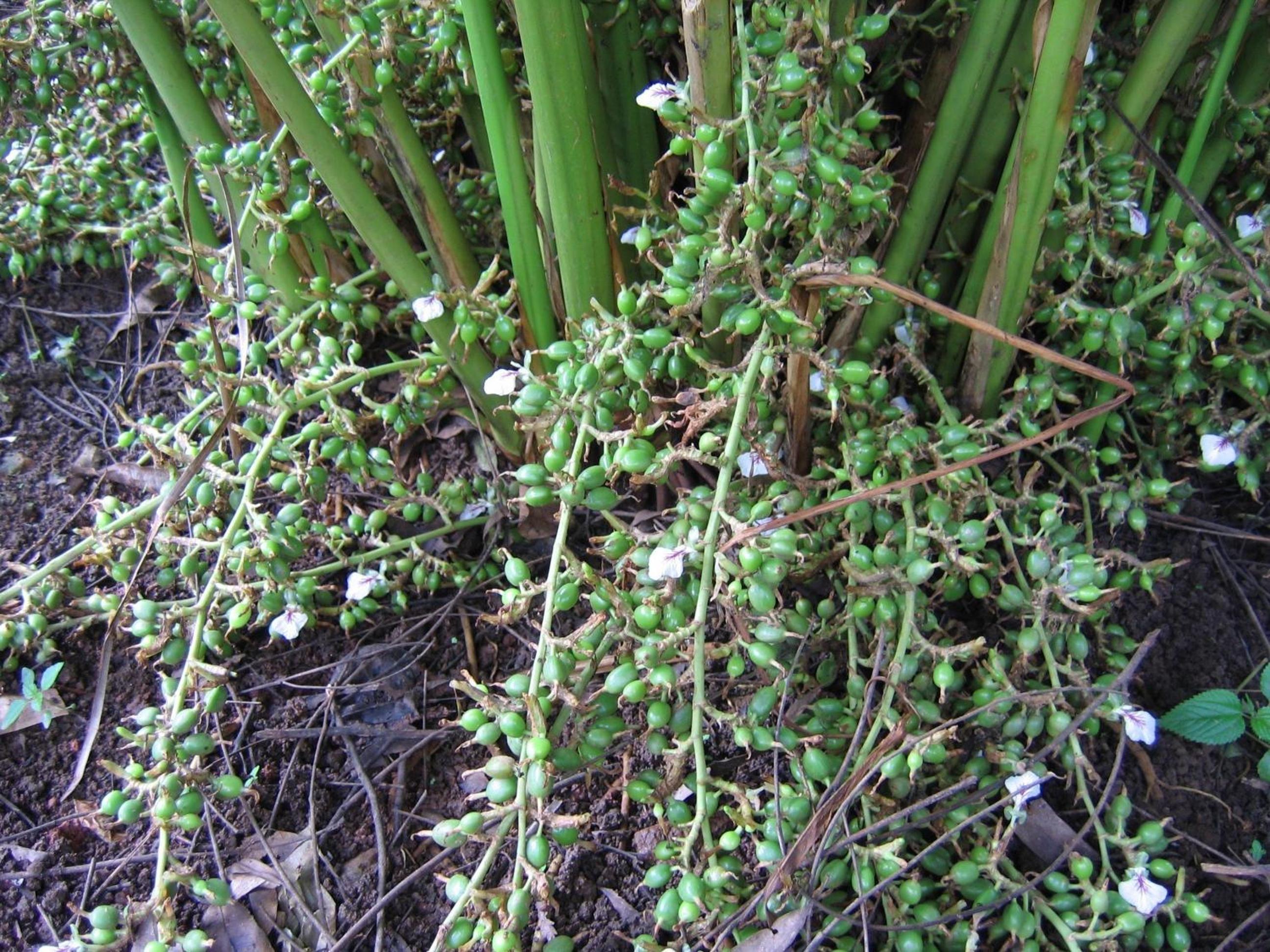 Photo 49